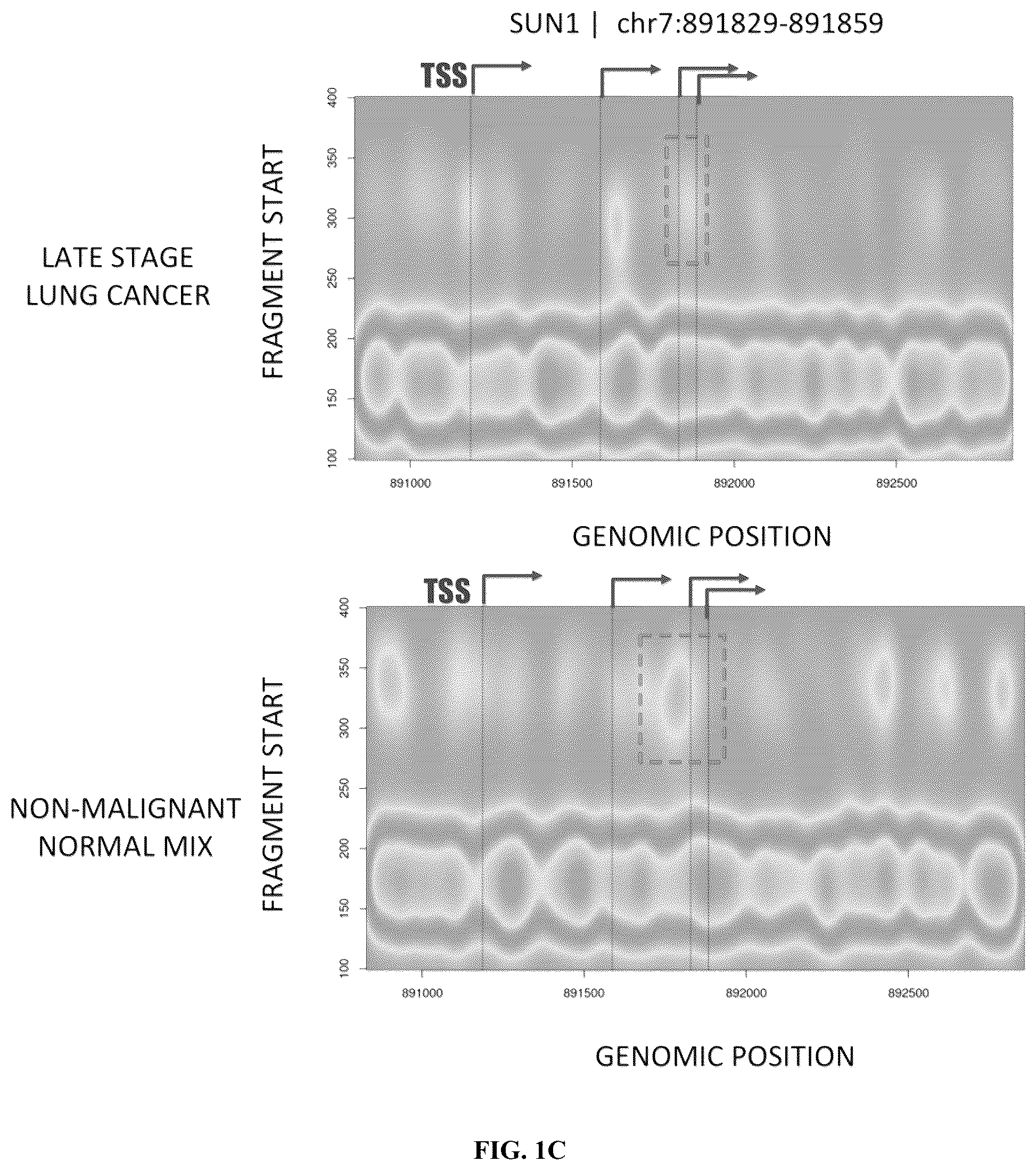 Patent US12590326 Figure 2 – Methods for fragmentome profiling of cell-free nucleic acids