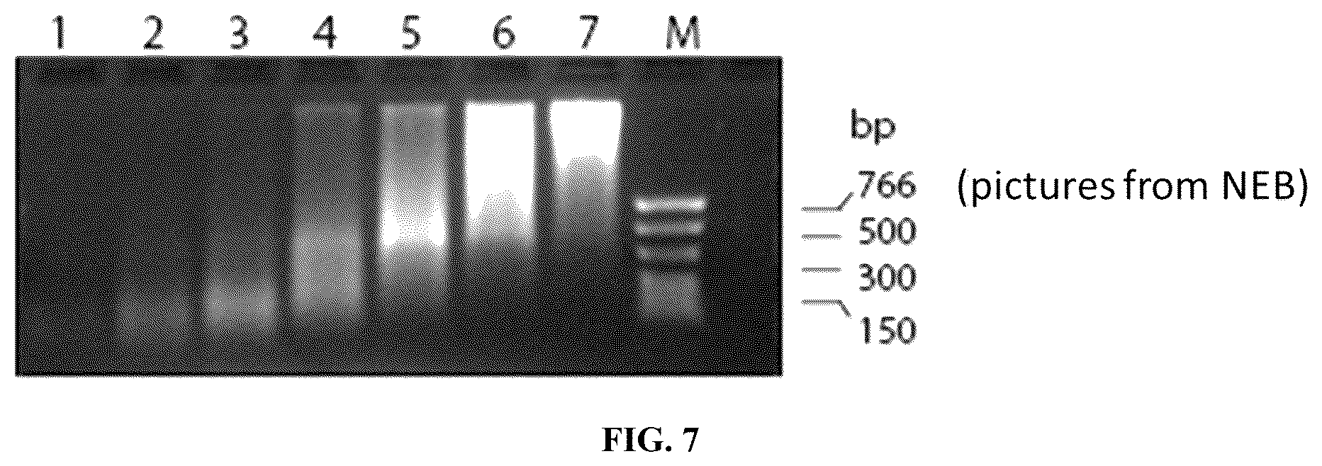 Patent US12590326 Figure 12 – Methods for fragmentome profiling of cell-free nucleic acids