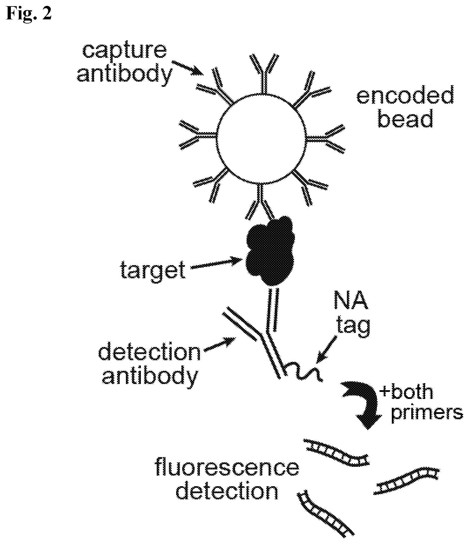 Patent US12590327 Figure 2 – Compounds, compositions, and methods for improving assays