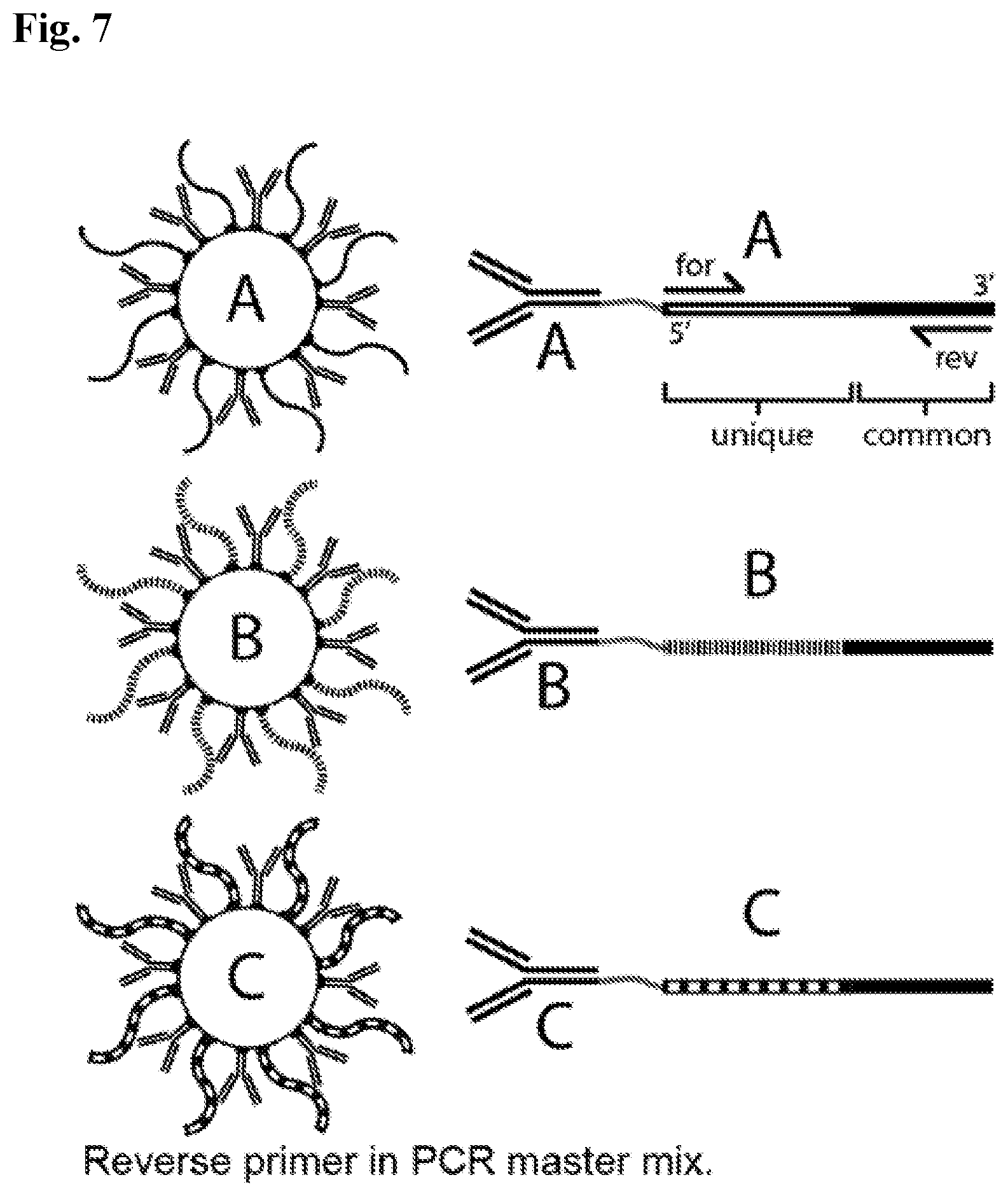 Patent US12590327 Figure 7 – Compounds, compositions, and methods for improving assays