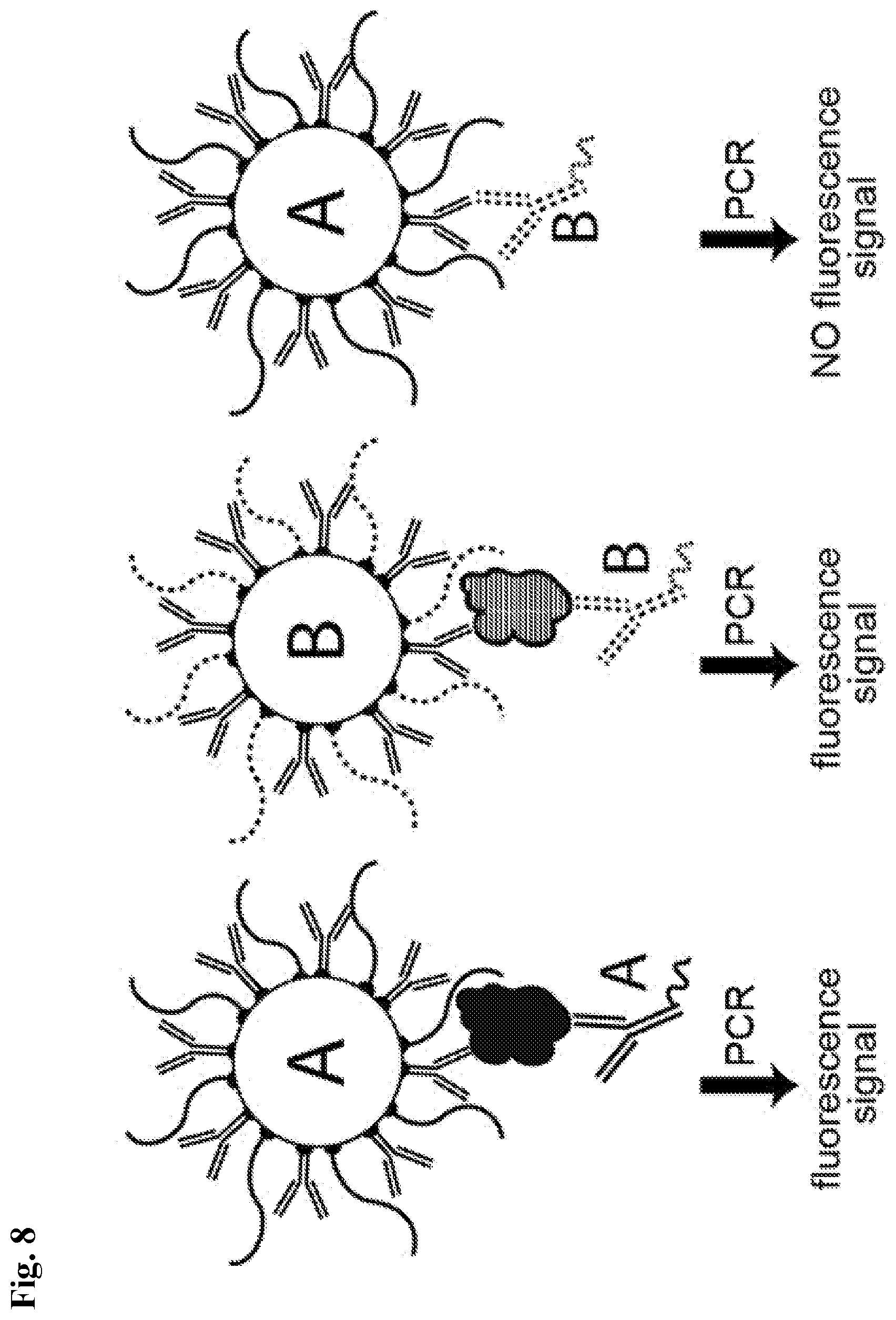 Patent US12590327 Figure 8 – Compounds, compositions, and methods for improving assays