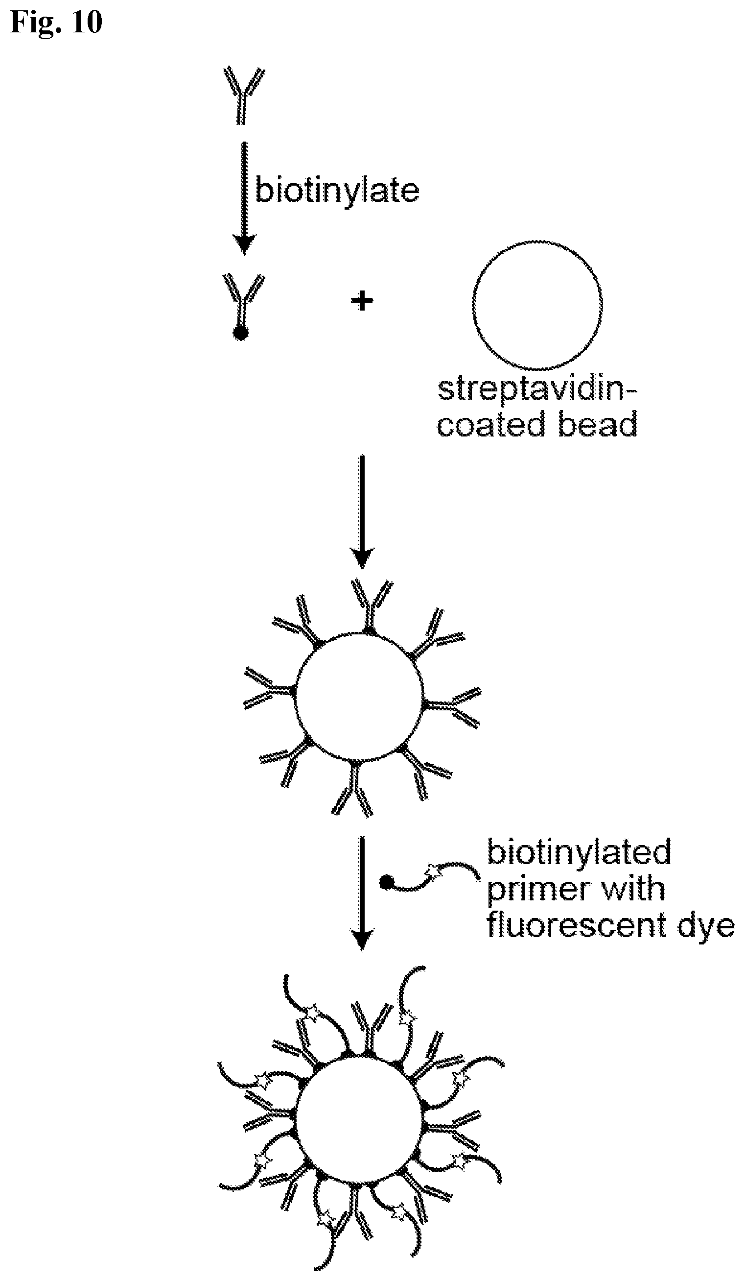 Patent US12590327 Figure 12 – Compounds, compositions, and methods for improving assays
