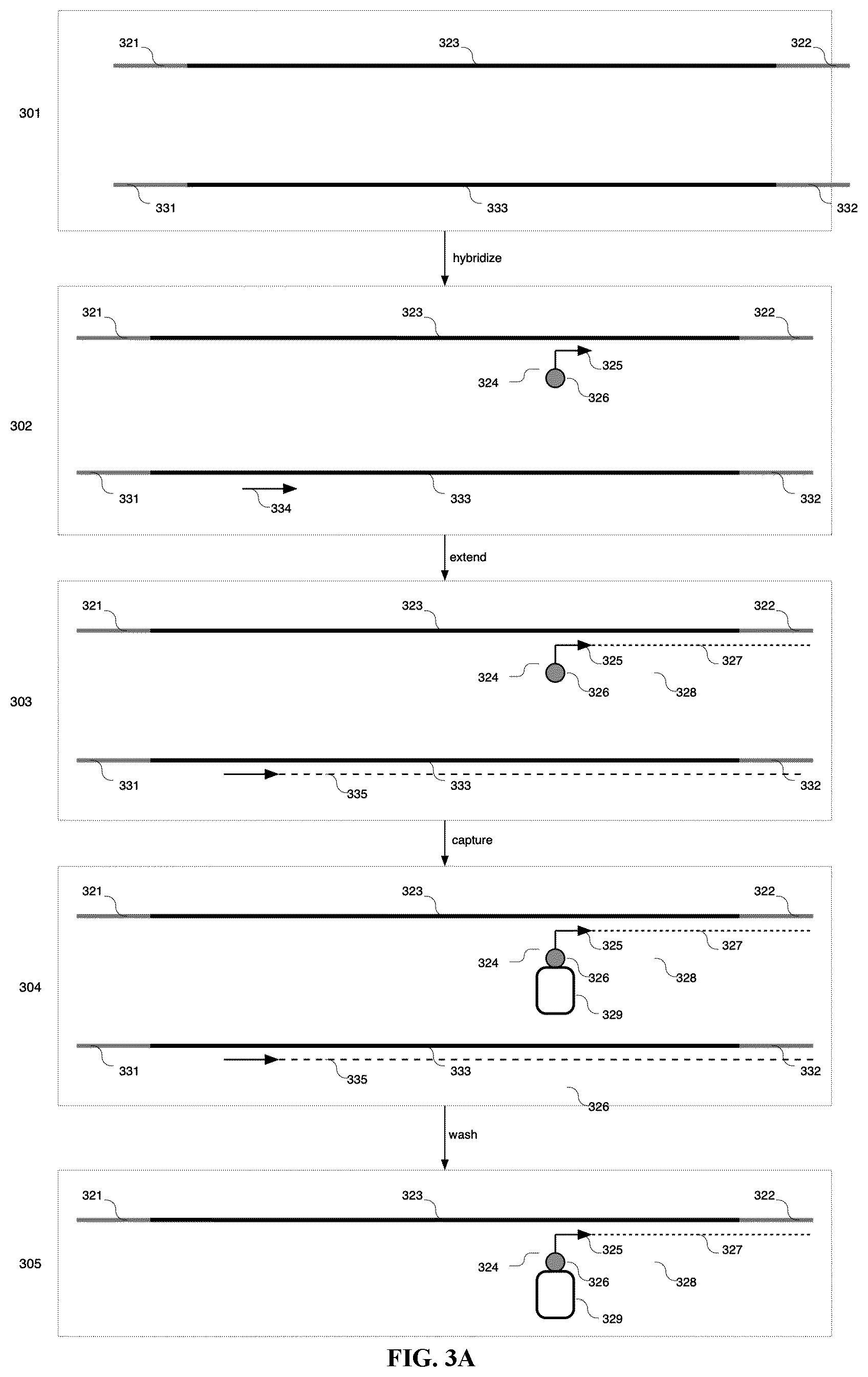 Patent US12590328 Figure 6 – Targeted depletion of non-target library molecules using poison primers during target capture of next-generation sequencing libraries