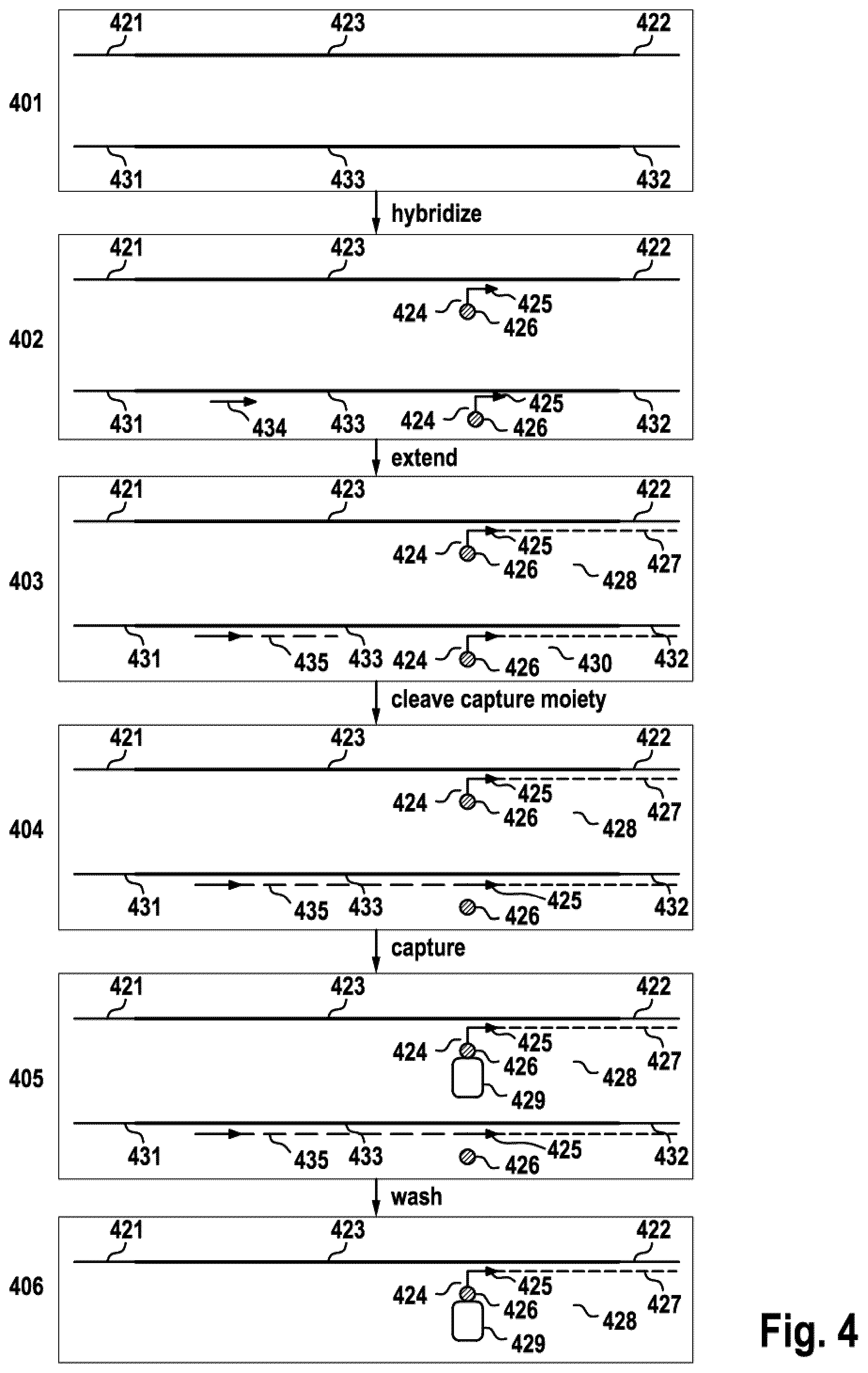 Patent US12590328 Figure 8 – Targeted depletion of non-target library molecules using poison primers during target capture of next-generation sequencing libraries