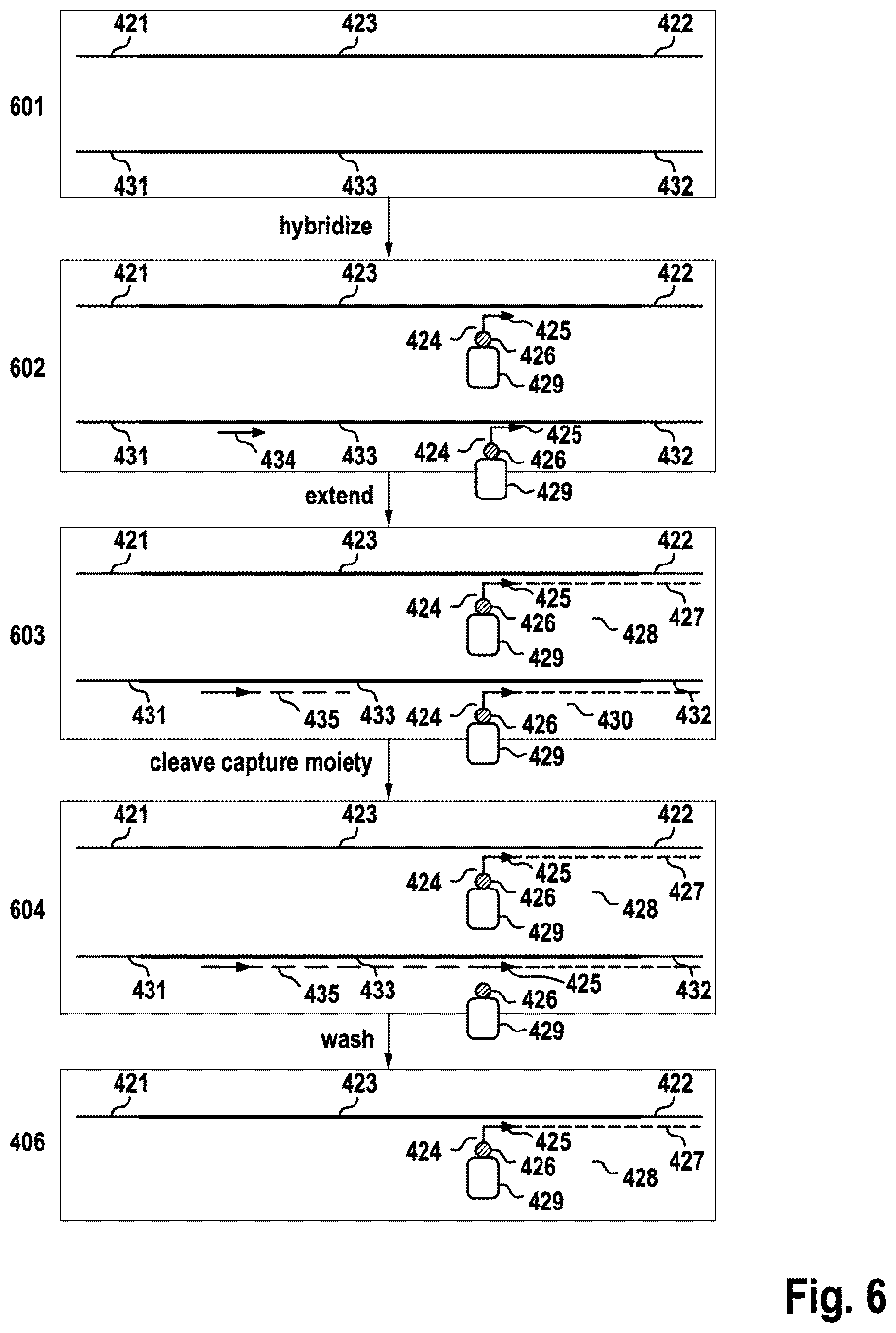 Patent US12590328 Figure 10 – Targeted depletion of non-target library molecules using poison primers during target capture of next-generation sequencing libraries