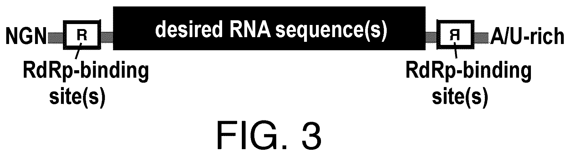 Patent US12590329 Figure 3 – Replicase cycling reaction (RCR)