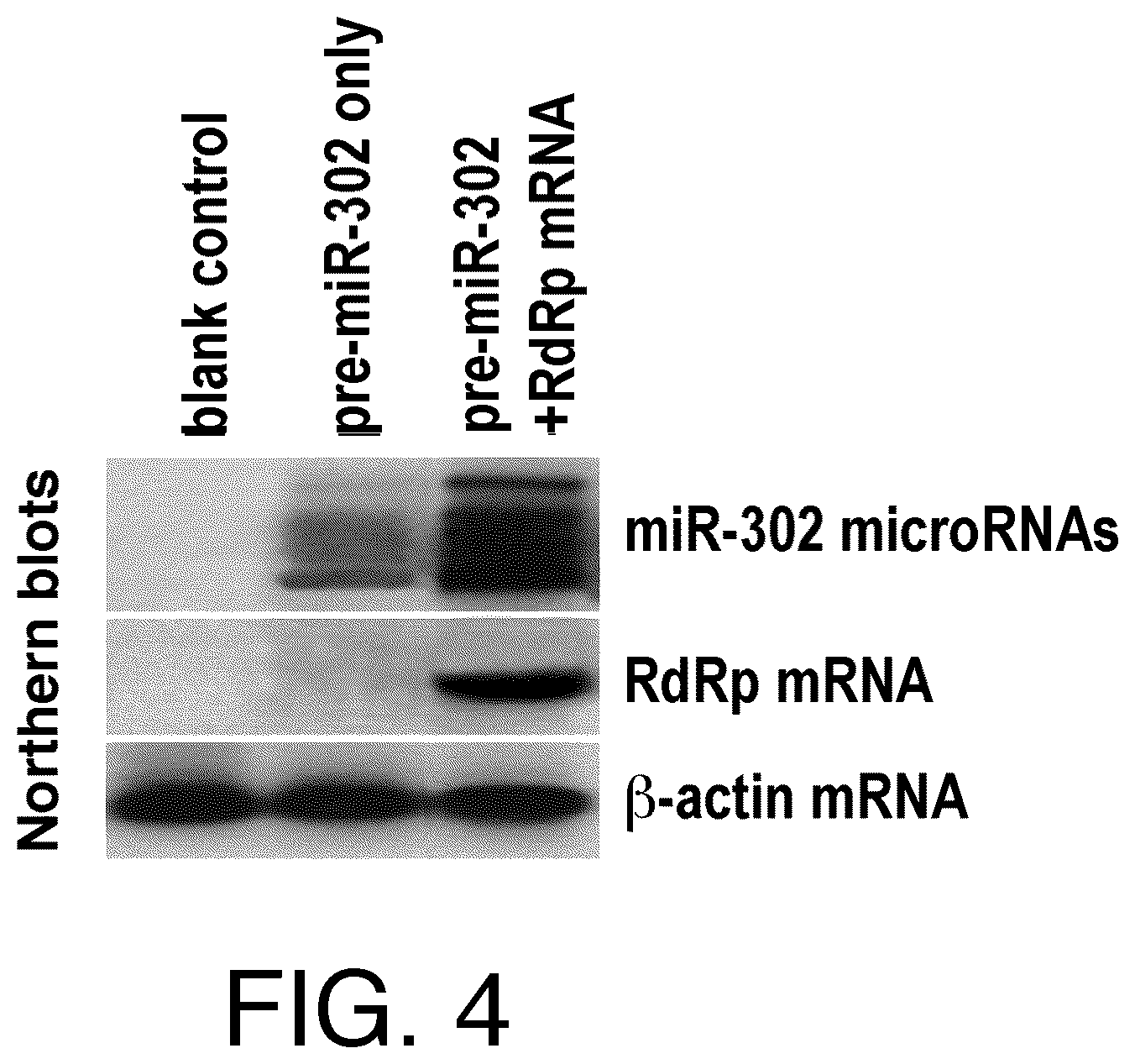 Patent US12590329 Figure 4 – Replicase cycling reaction (RCR)