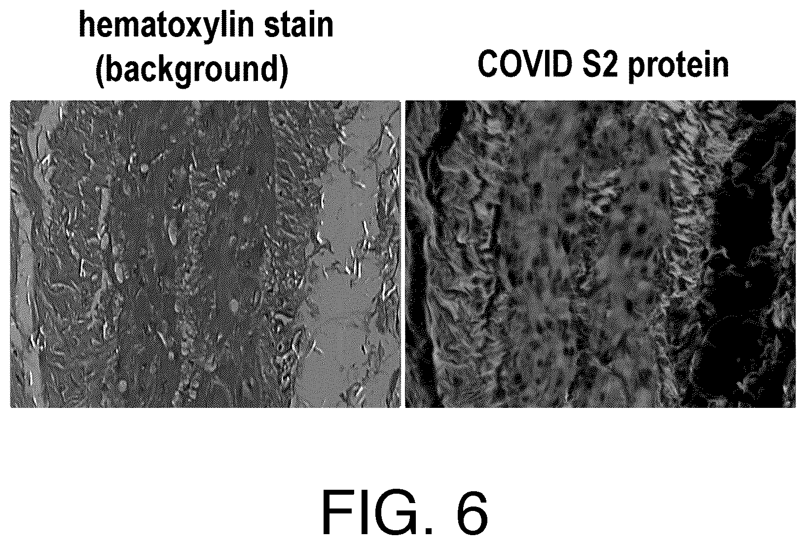 Patent US12590329 Figure 6 – Replicase cycling reaction (RCR)