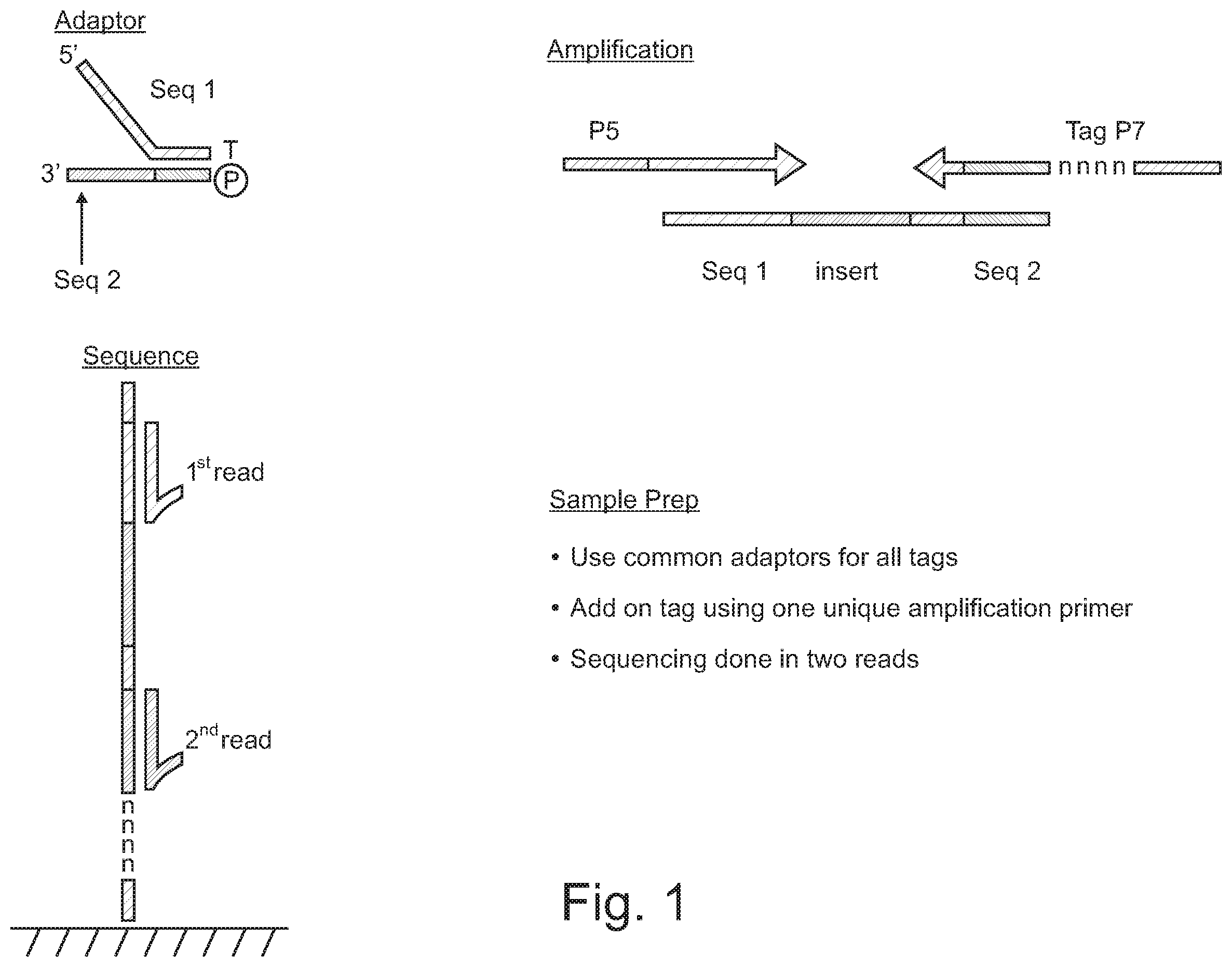 Patent US12590330 Figure 1 – Methods for indexing samples and sequencing multiple polynucleotide templates