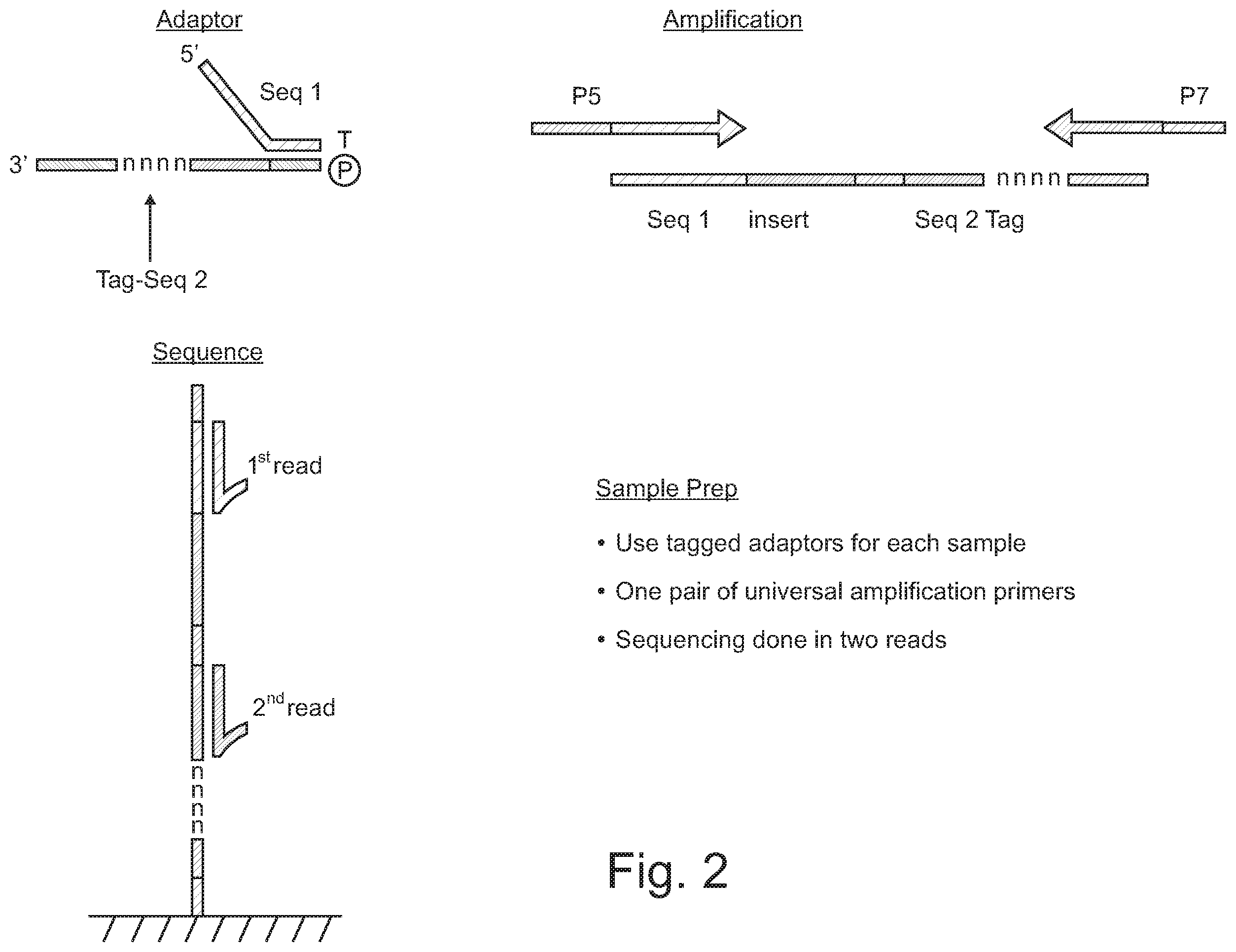 Patent US12590330 Figure 2 – Methods for indexing samples and sequencing multiple polynucleotide templates