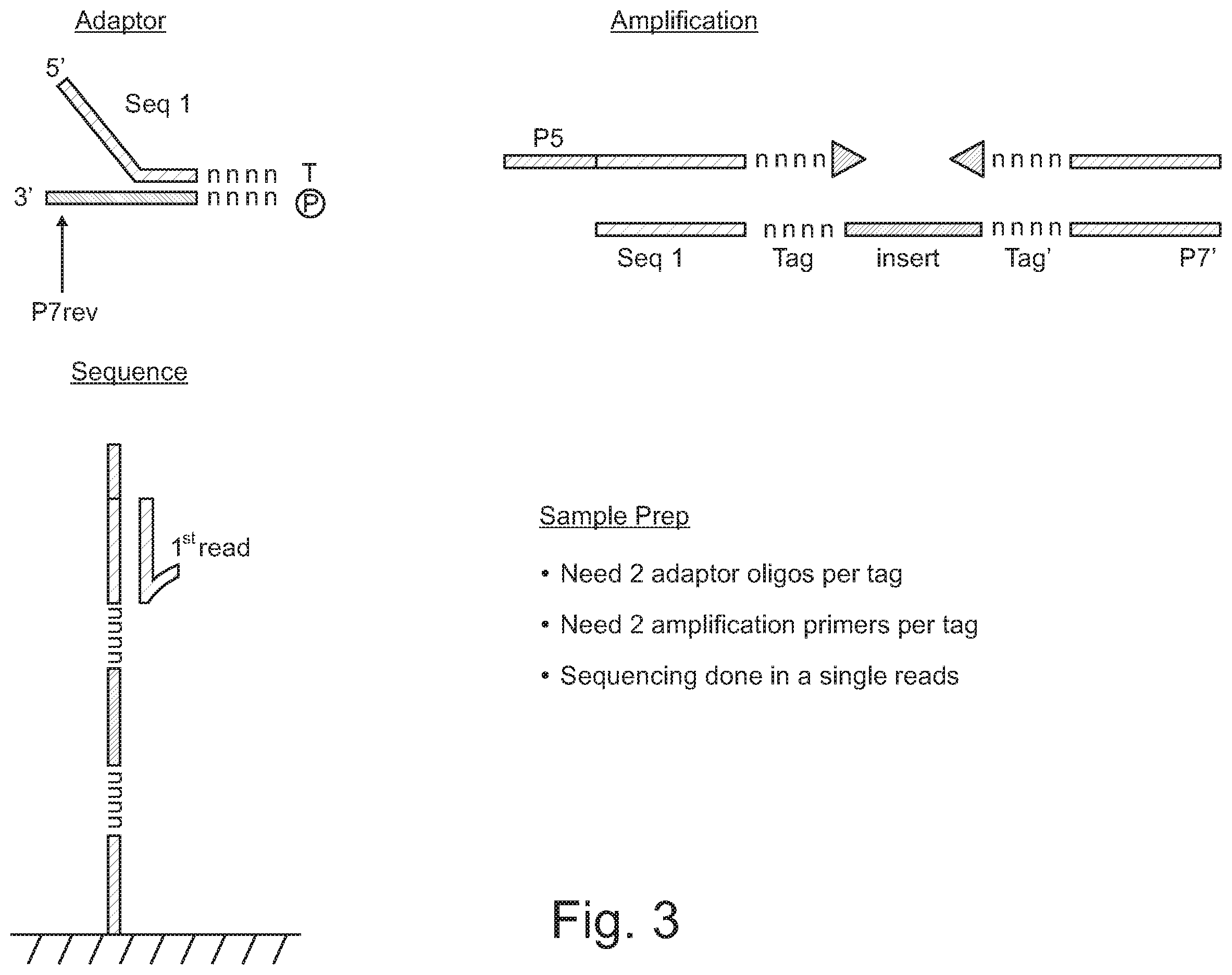 Patent US12590330 Figure 3 – Methods for indexing samples and sequencing multiple polynucleotide templates