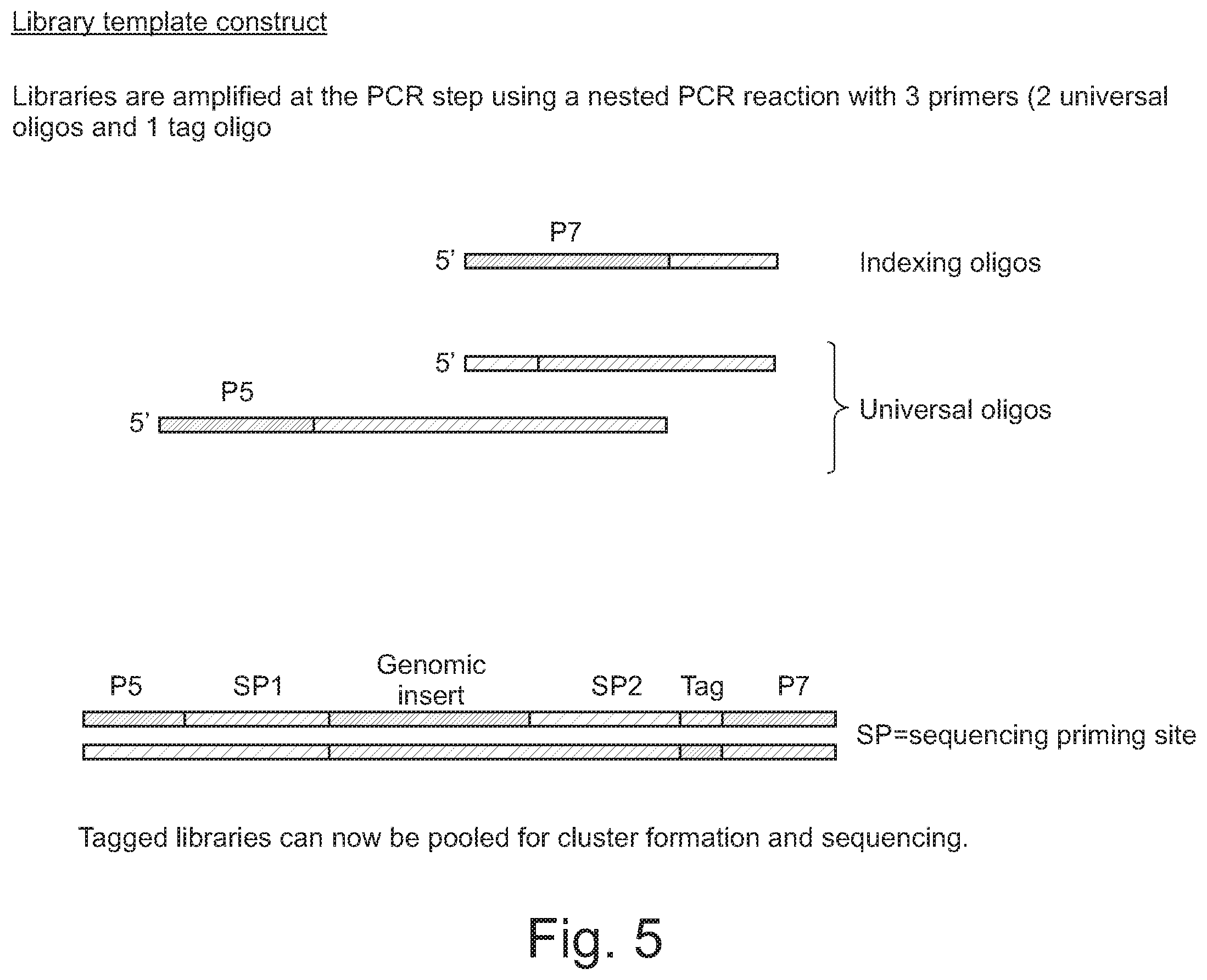 Patent US12590330 Figure 5 – Methods for indexing samples and sequencing multiple polynucleotide templates