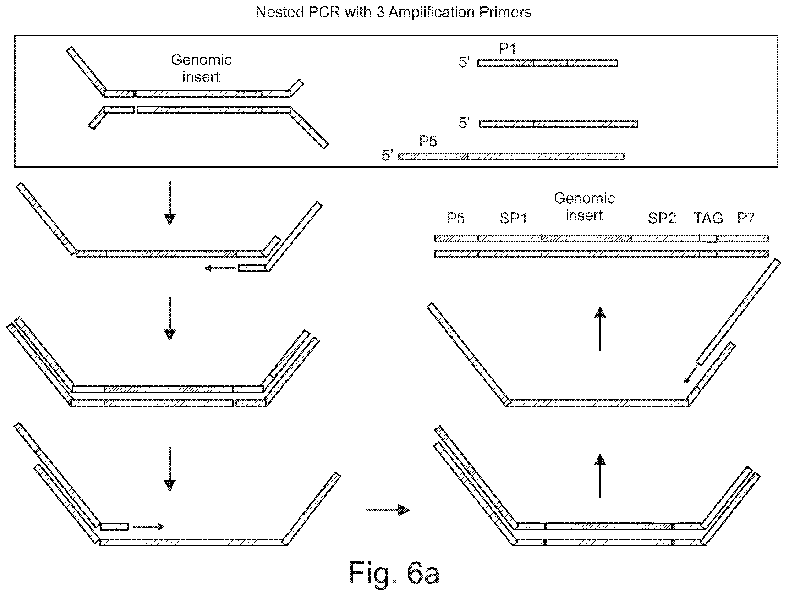 Patent US12590330 Figure 6 – Methods for indexing samples and sequencing multiple polynucleotide templates