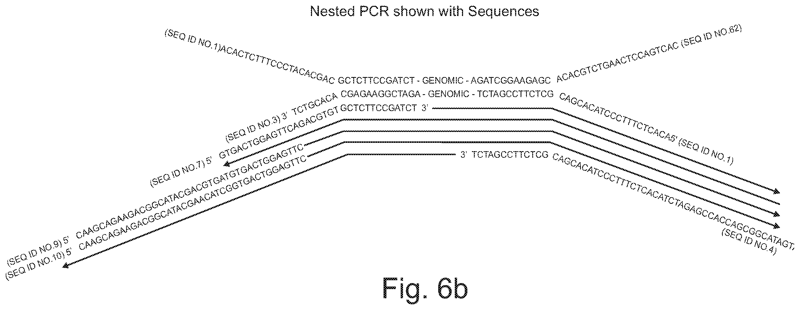 Patent US12590330 Figure 7 – Methods for indexing samples and sequencing multiple polynucleotide templates