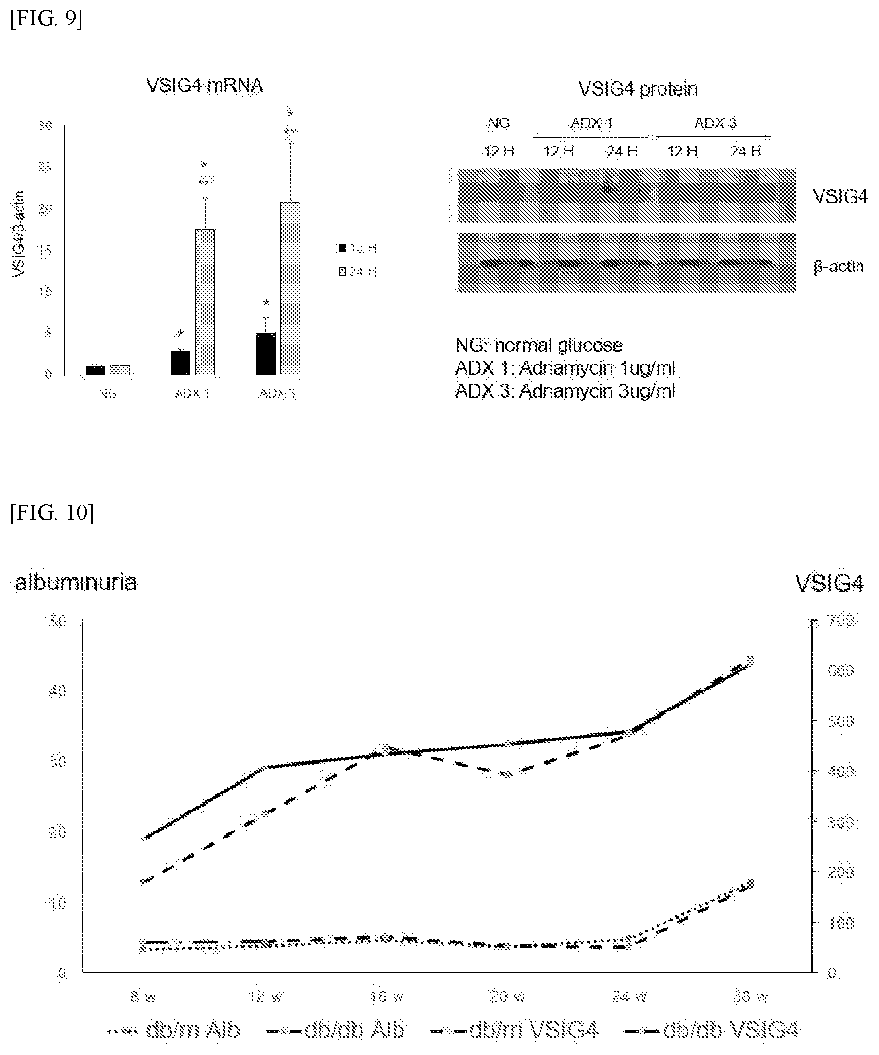Patent US12590332 Figure 5 – Composition for diagnosing or treating kidney disease