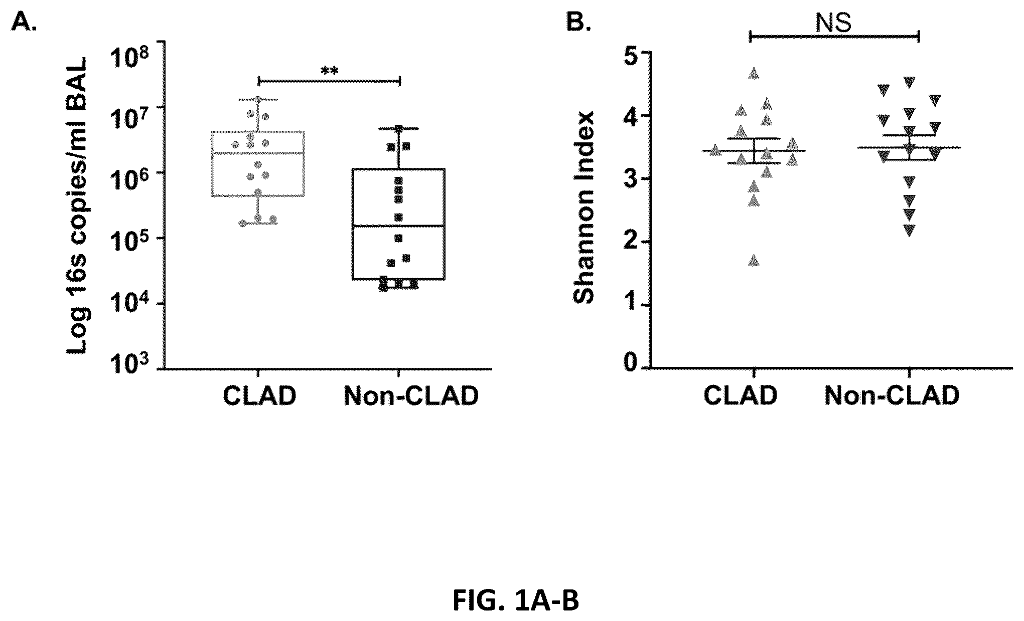 Patent US12590333 — N-Myc-interactor protein as a marker for chronic lung disease and uses thereof — Figure 1