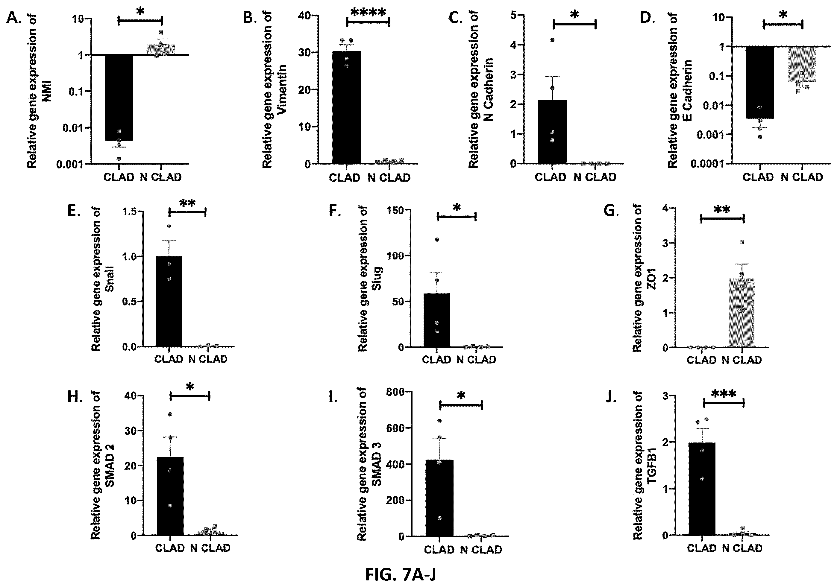 Patent US12590333 Figure 7 – N-Myc-interactor protein as a marker for chronic lung disease and uses thereof