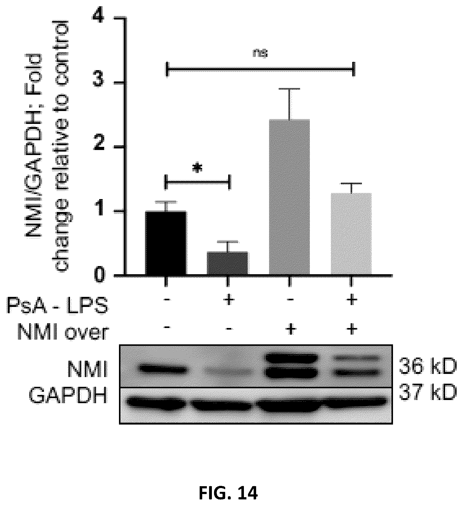 Patent US12590333 Figure 14 – N-Myc-interactor protein as a marker for chronic lung disease and uses thereof