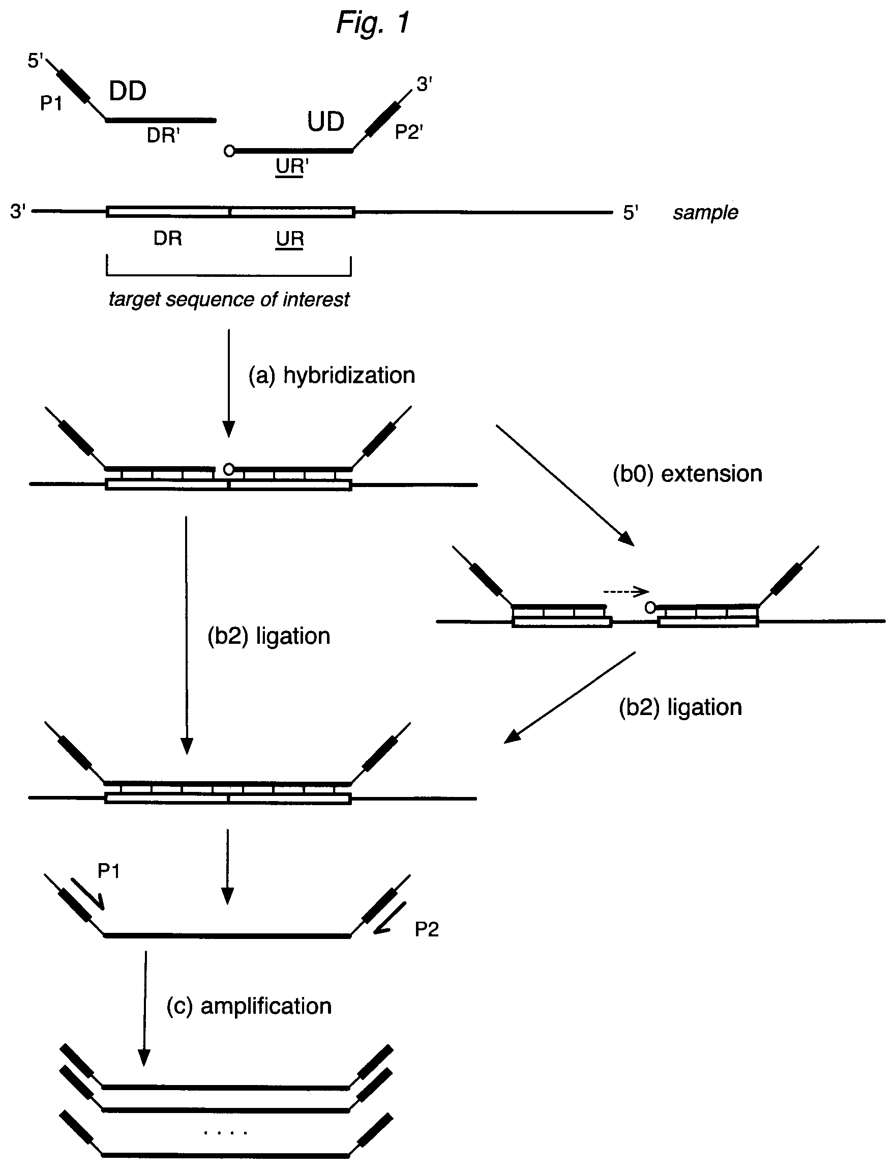 Patent US12590334 Figure 1 – Methods for nucleic acid sequence detection