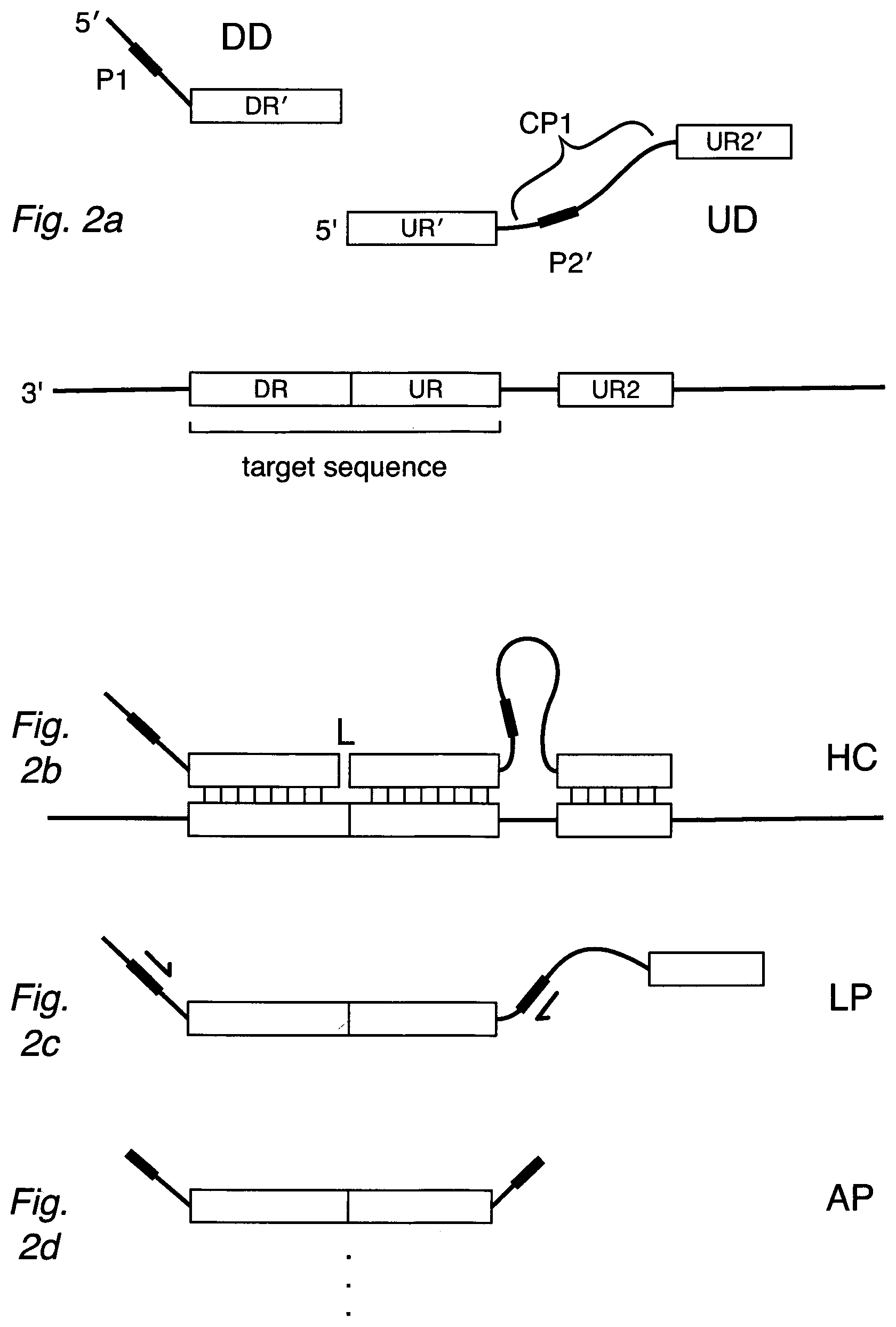 Patent US12590334 Figure 2 – Methods for nucleic acid sequence detection