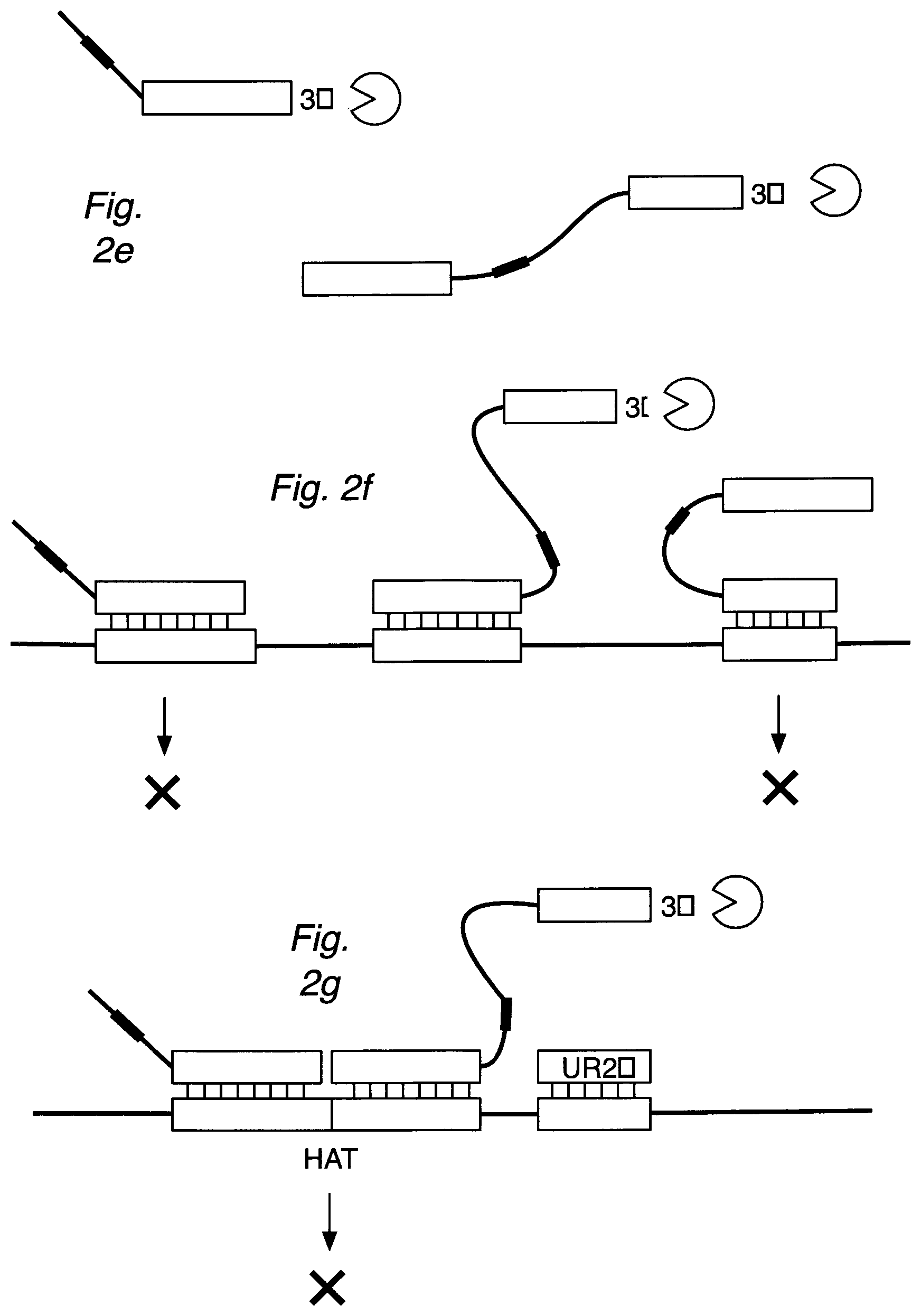 Patent US12590334 Figure 3 – Methods for nucleic acid sequence detection
