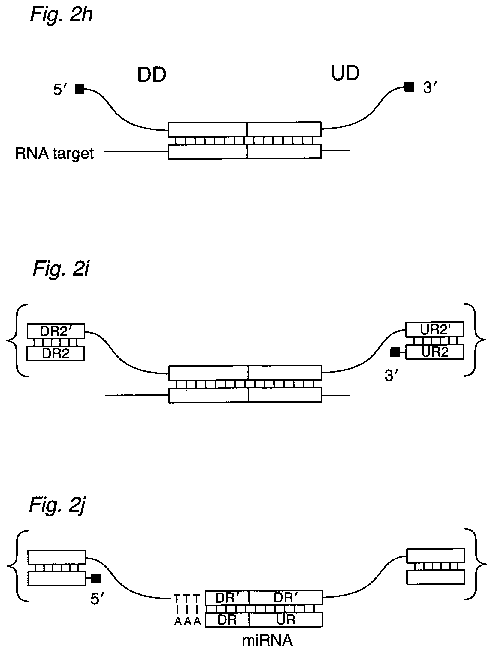 Patent US12590334 Figure 4 – Methods for nucleic acid sequence detection