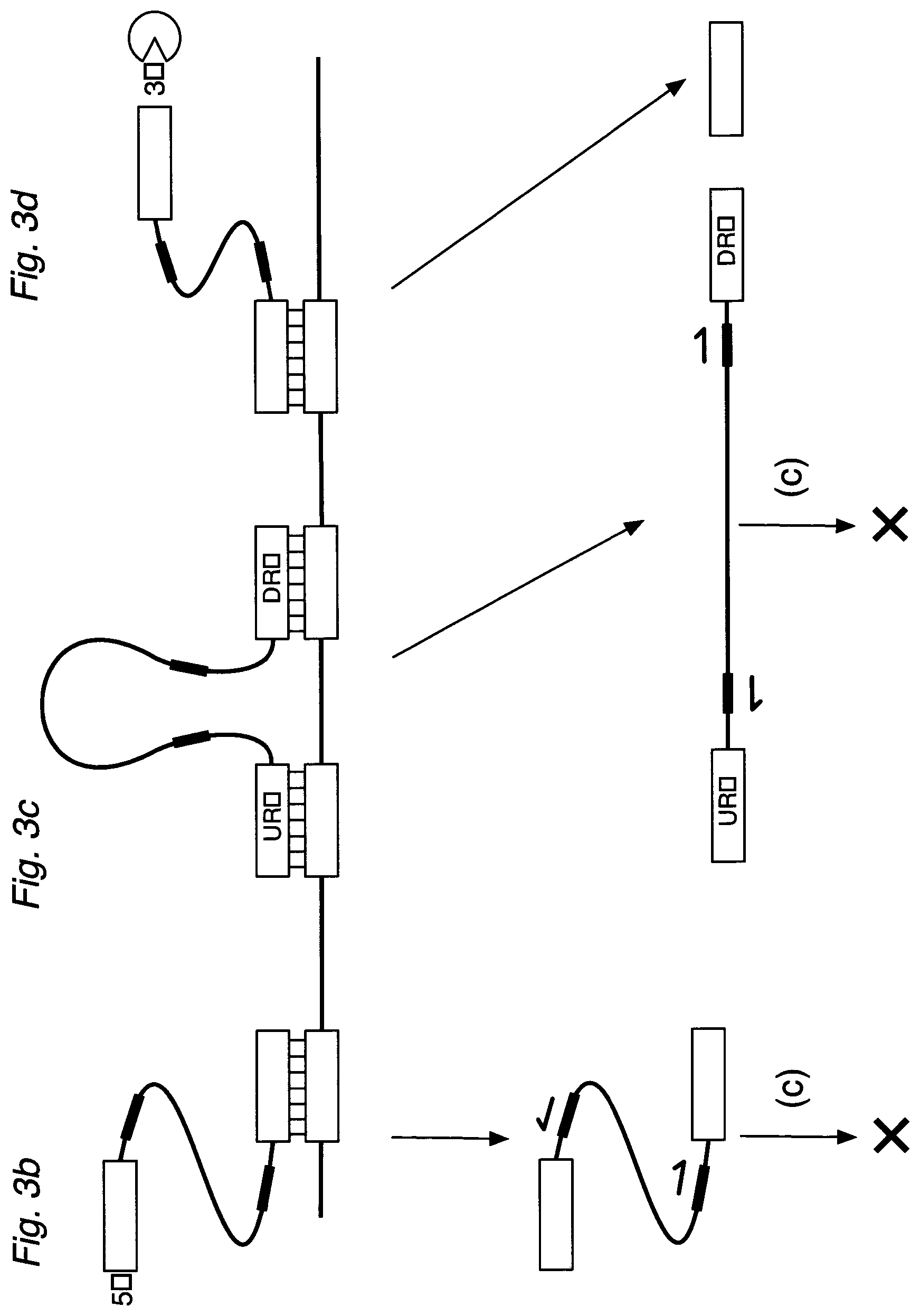 Patent US12590334 Figure 6 – Methods for nucleic acid sequence detection