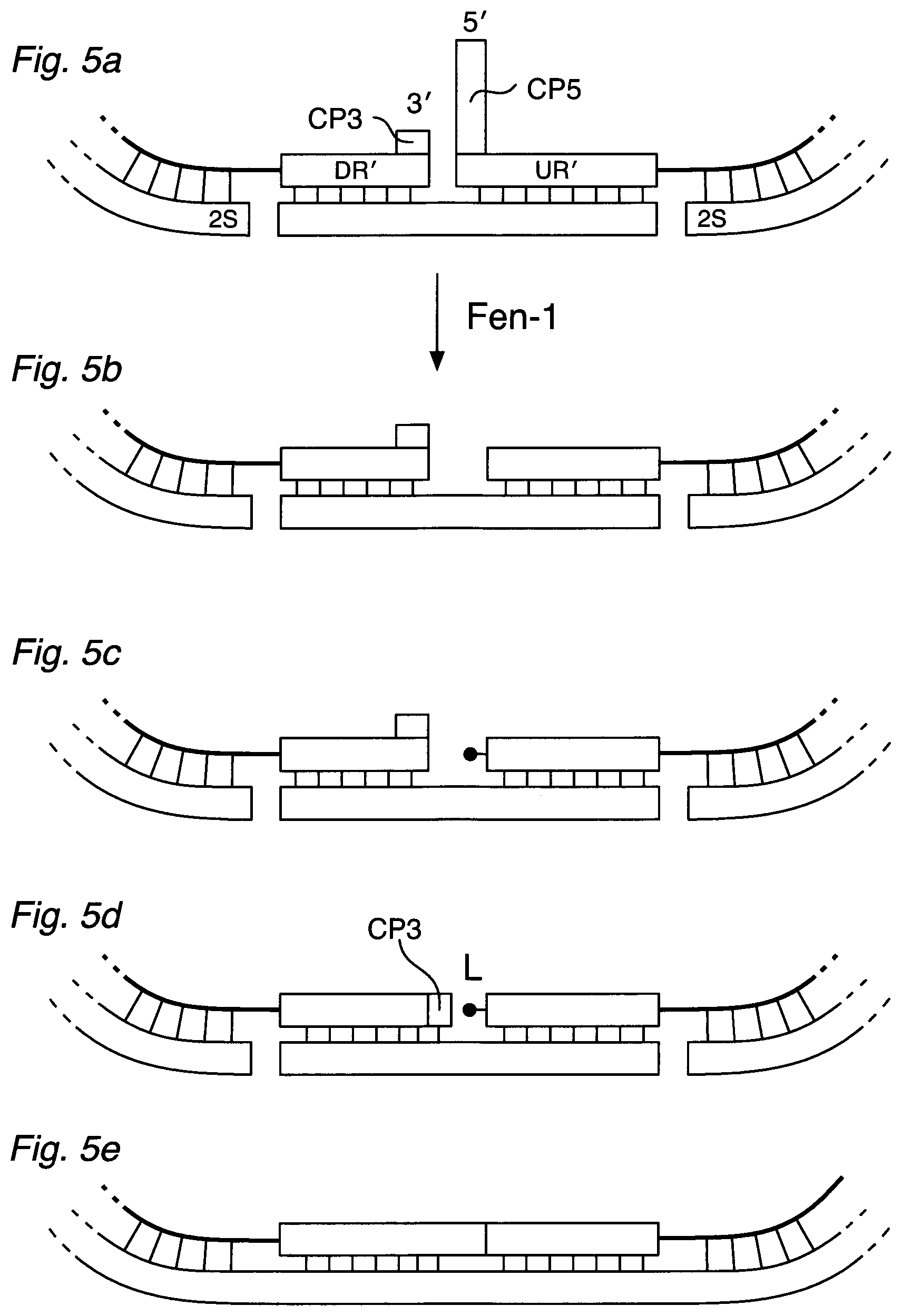 Patent US12590334 Figure 8 – Methods for nucleic acid sequence detection