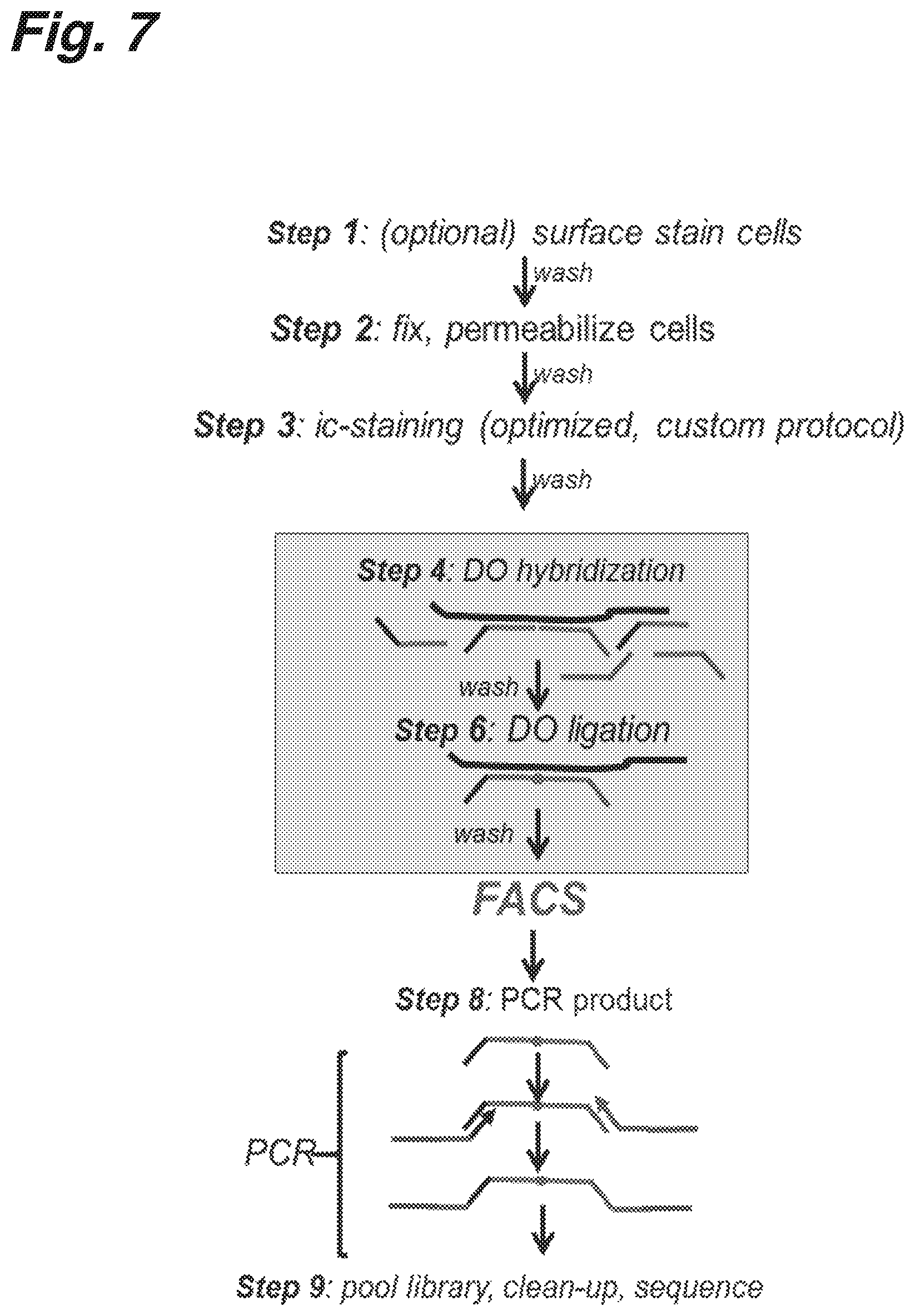 Patent US12590334 Figure 12 – Methods for nucleic acid sequence detection