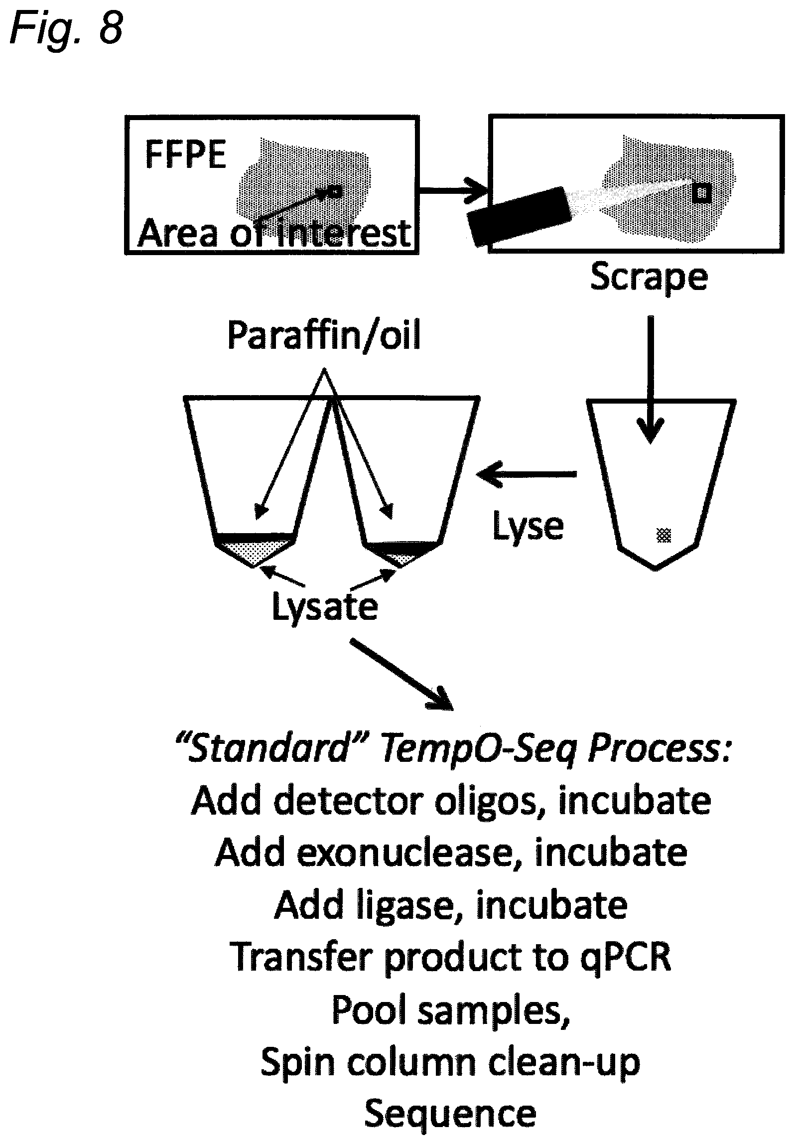 Patent US12590334 Figure 13 – Methods for nucleic acid sequence detection