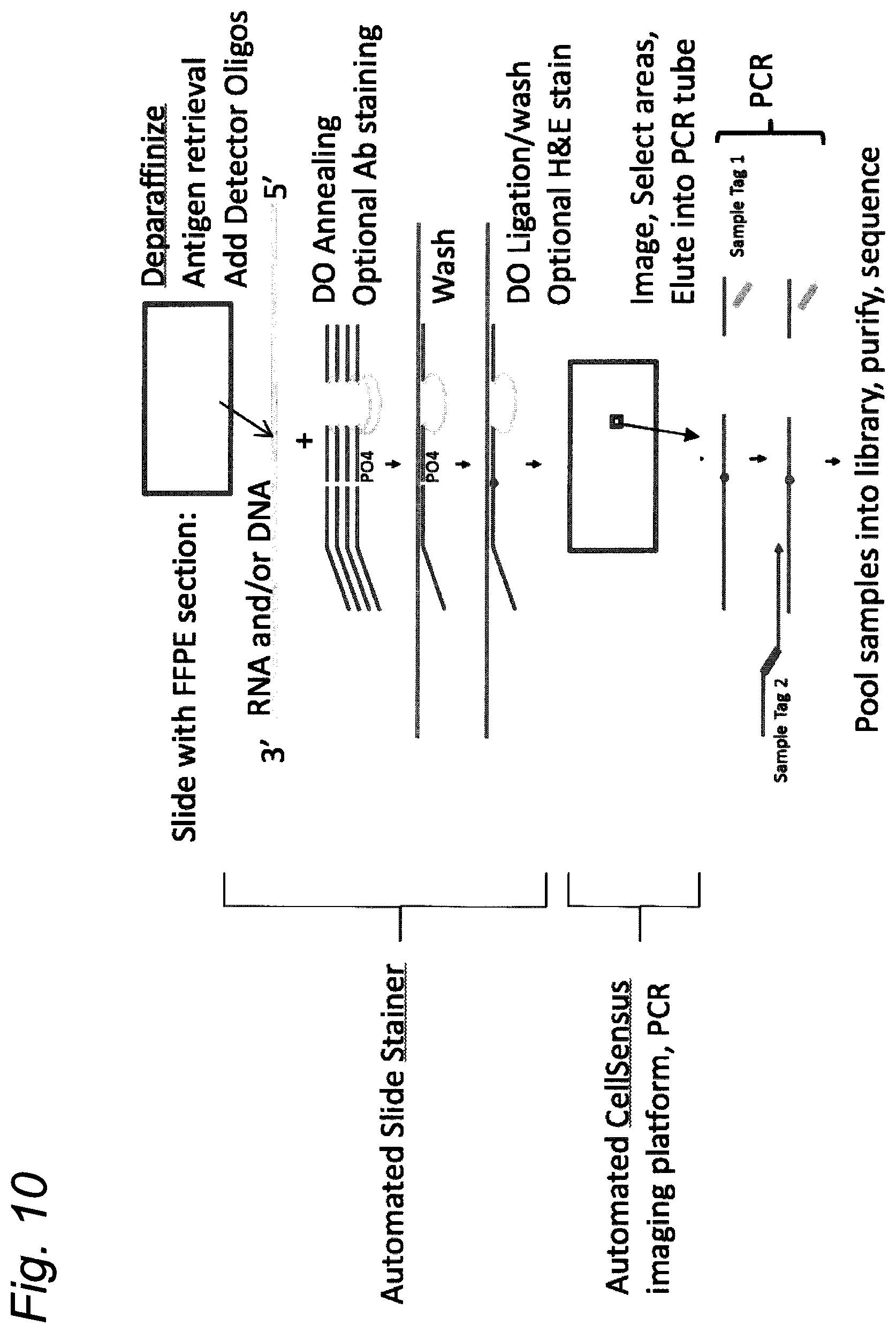 Patent US12590334 Figure 15 – Methods for nucleic acid sequence detection