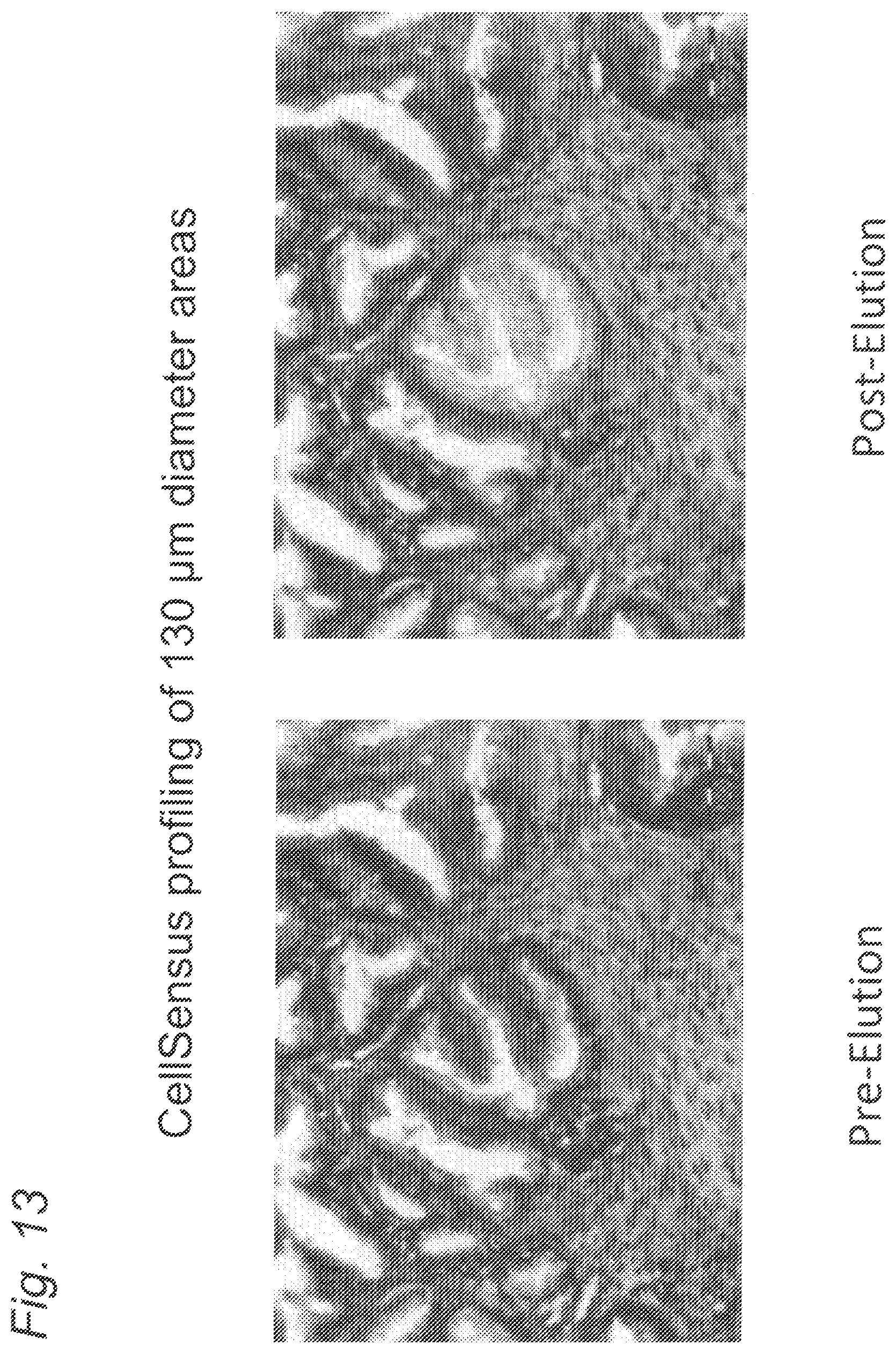 Patent US12590334 Figure 18 – Methods for nucleic acid sequence detection