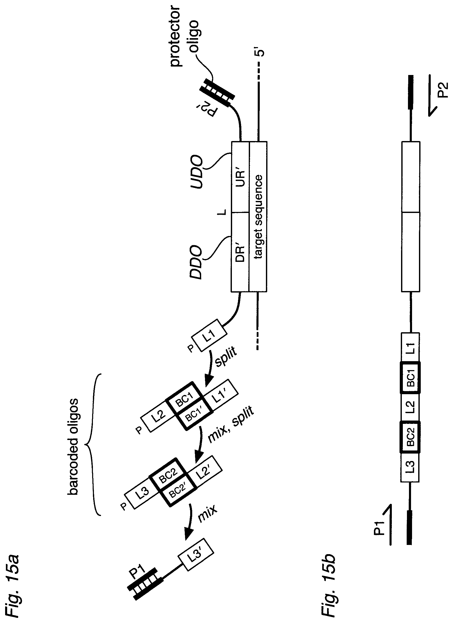 Patent US12590334 Figure 20 – Methods for nucleic acid sequence detection