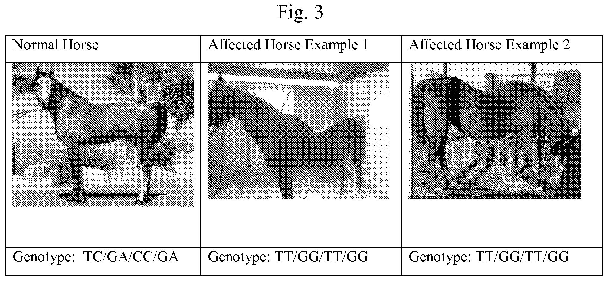 Patent US12590337 Figure 3 – Method for evaluating animal characteristics to identify discipline suitability