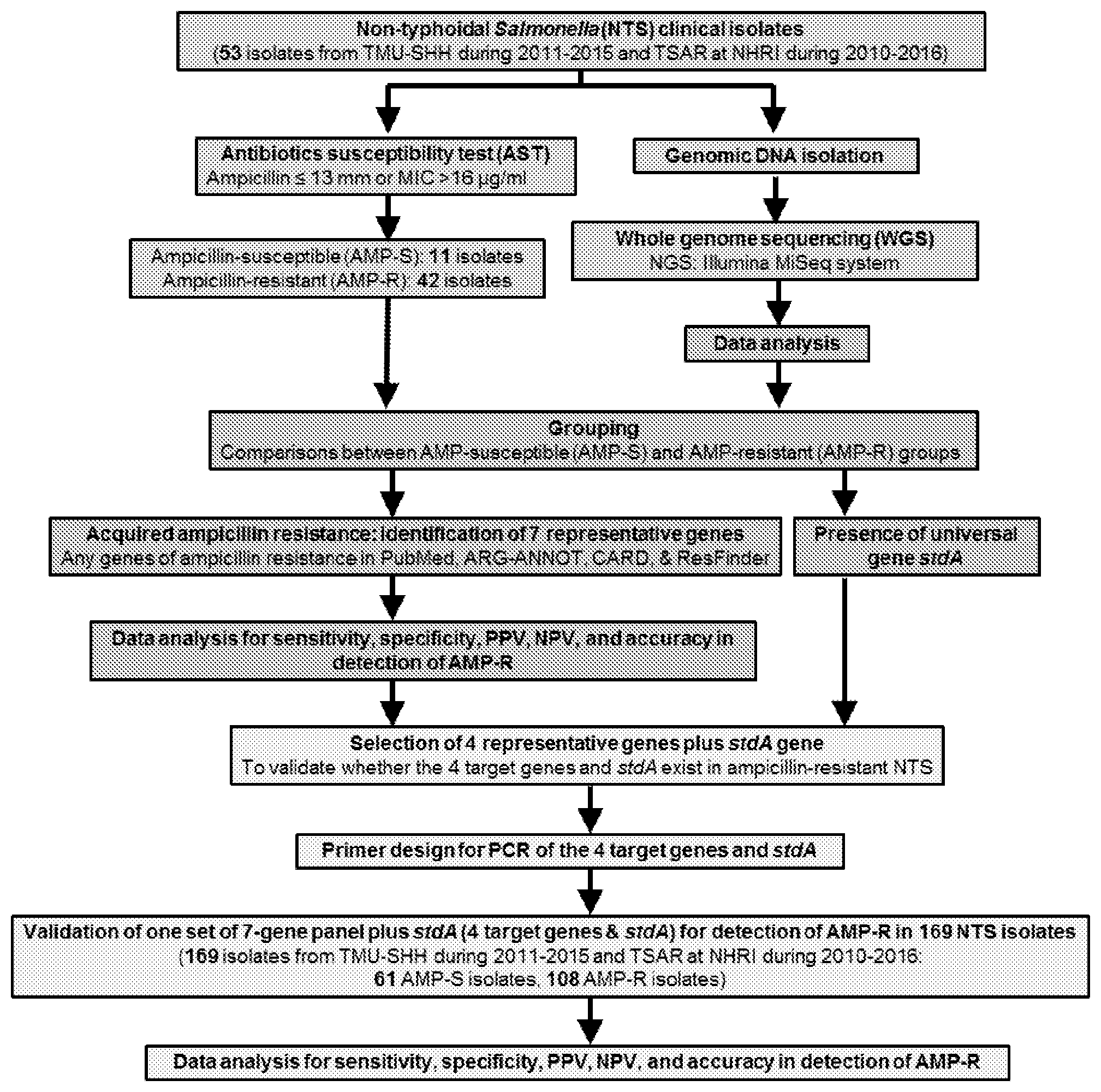 Patent US12590338 Figure 1 – Method and device for detection of ampicillin-resistant non-typhoidal Salmonella