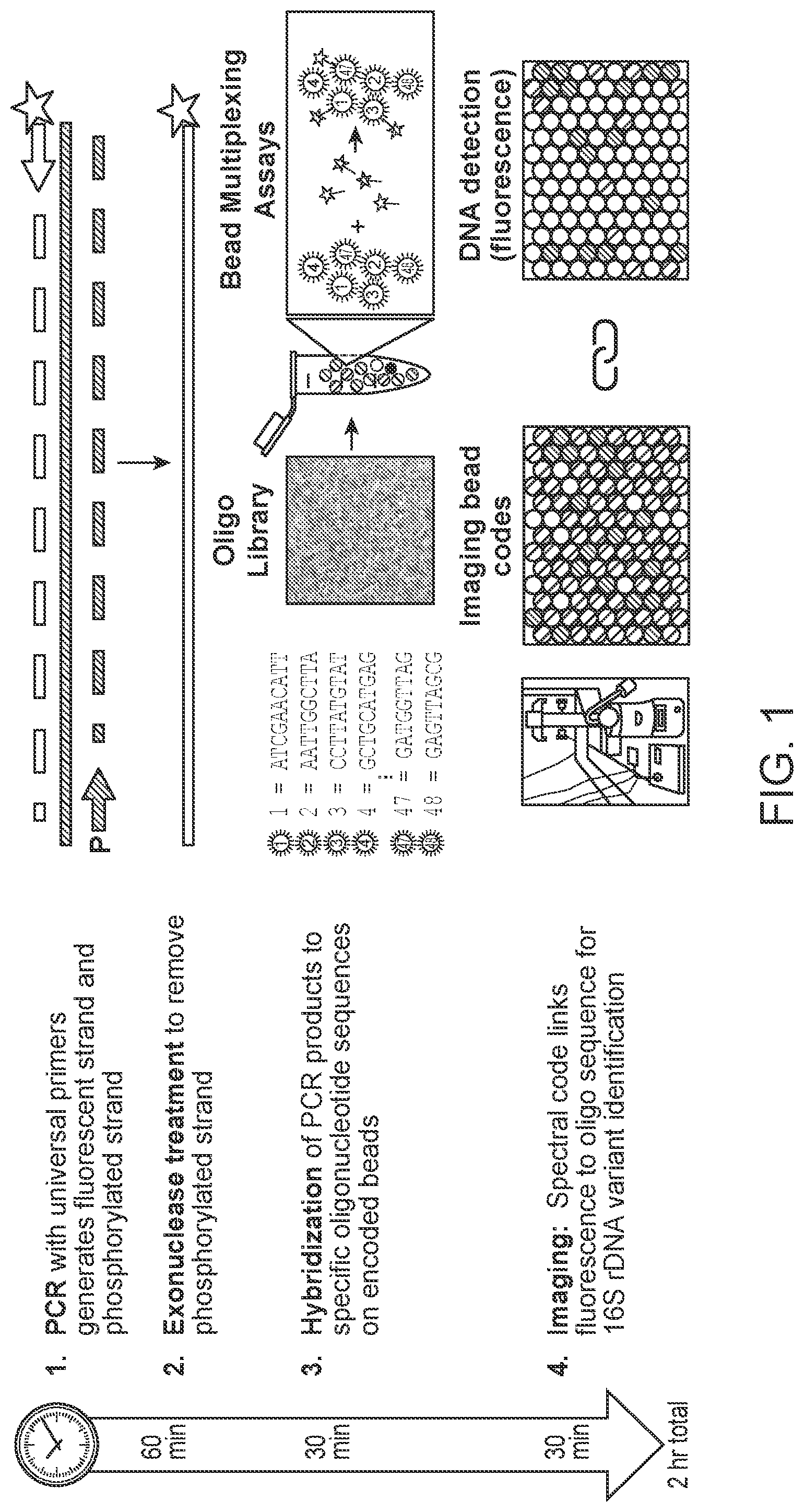 Patent US12590339 Figure 1 – Method for multiplexed detection of nucleic acids using spectrally encoded beads