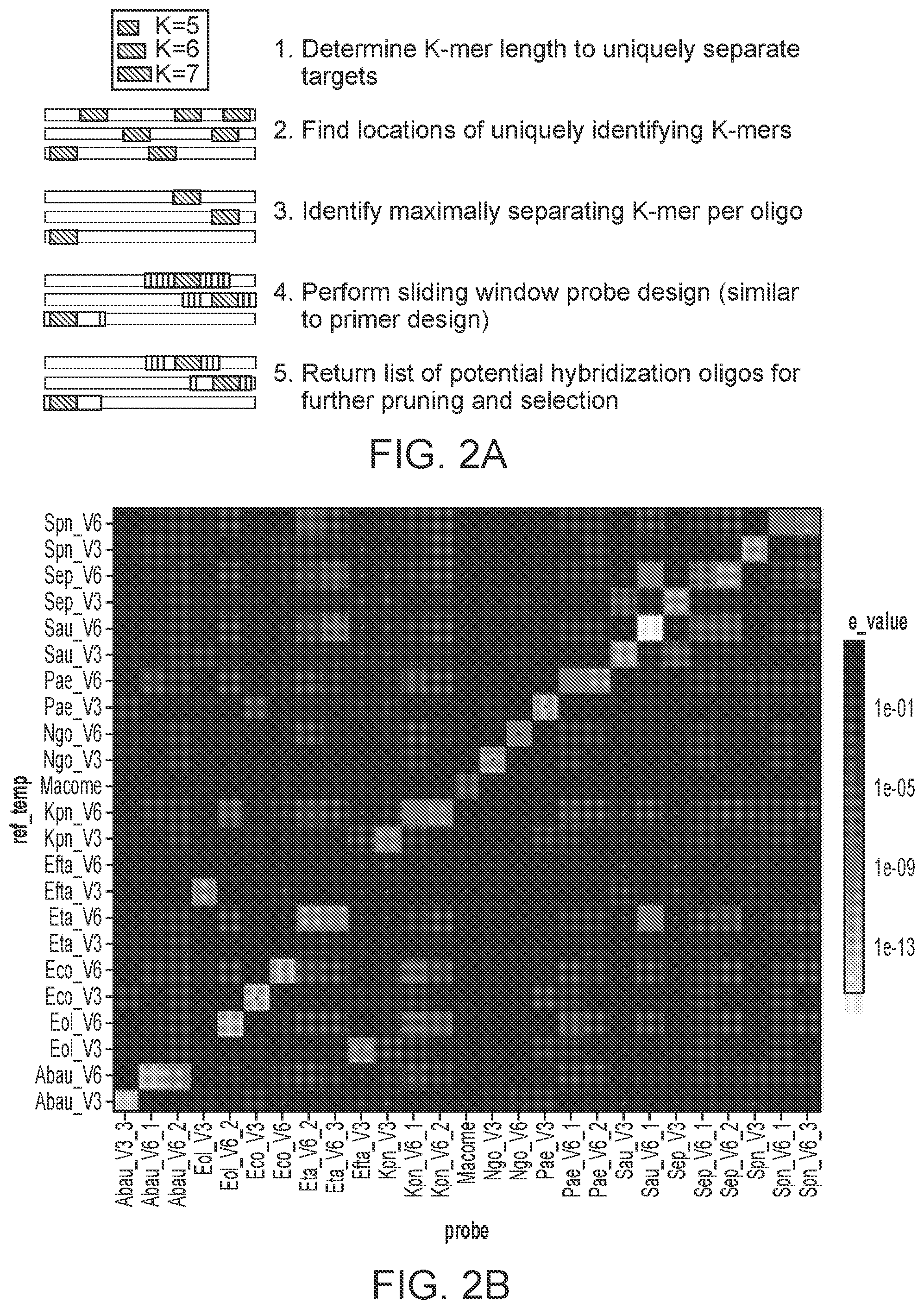 Patent US12590339 Figure 2 – Method for multiplexed detection of nucleic acids using spectrally encoded beads