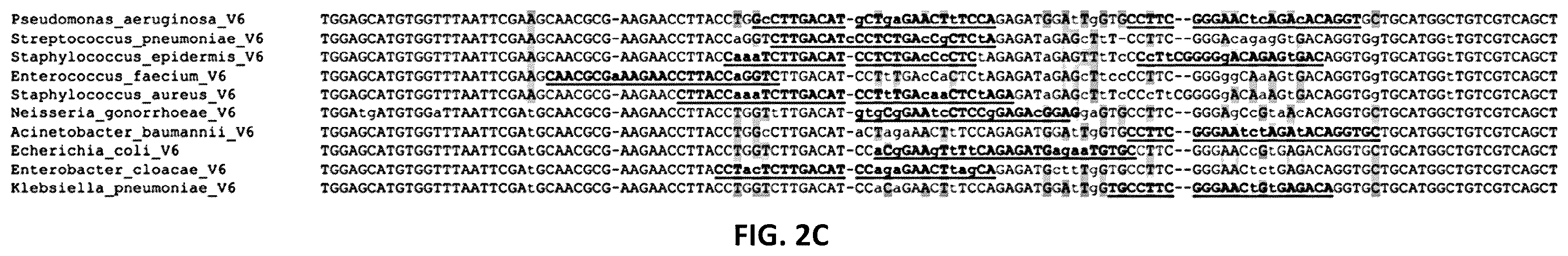 Patent US12590339 Figure 3 – Method for multiplexed detection of nucleic acids using spectrally encoded beads