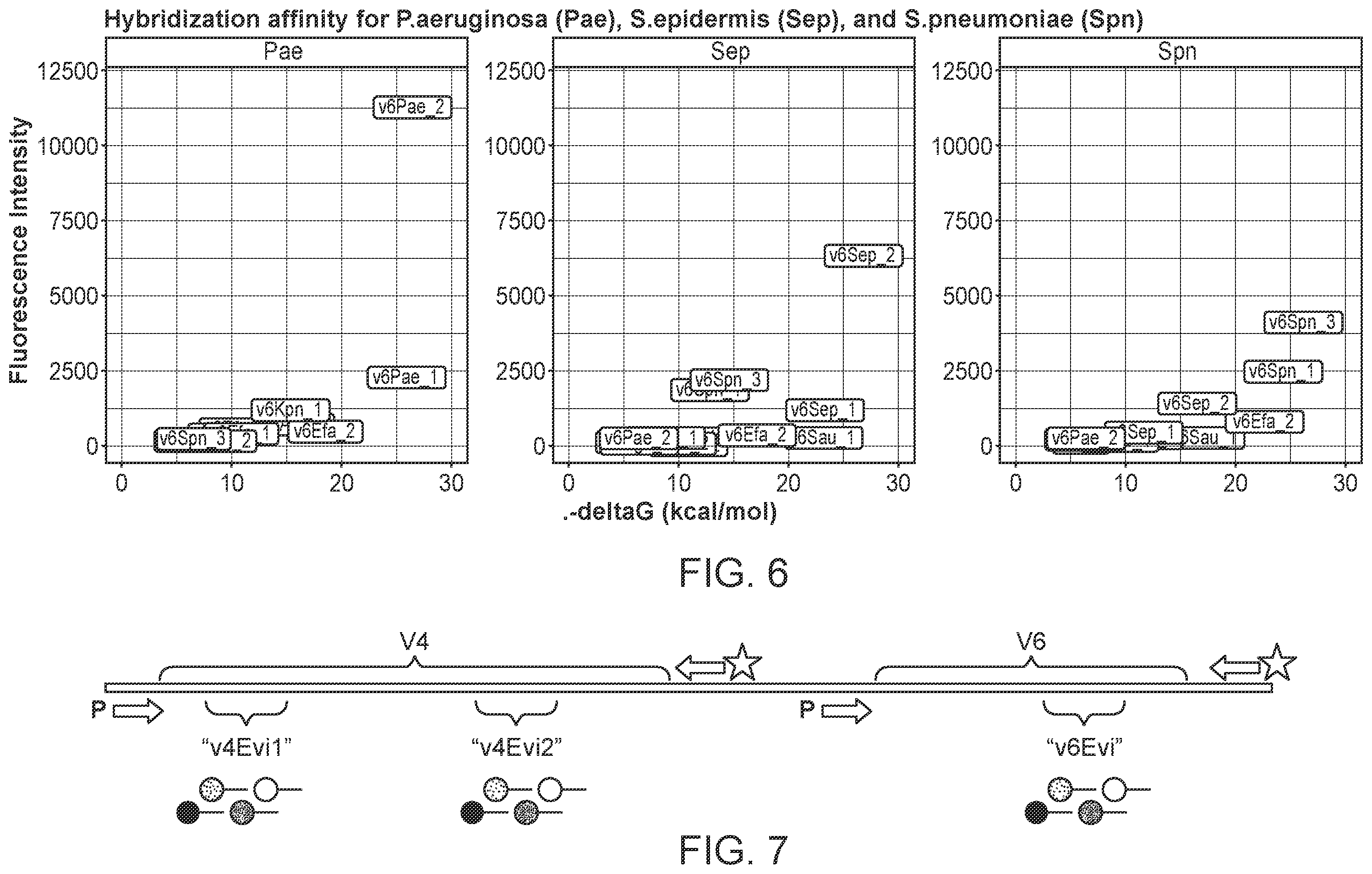 Patent US12590339 Figure 7 – Method for multiplexed detection of nucleic acids using spectrally encoded beads