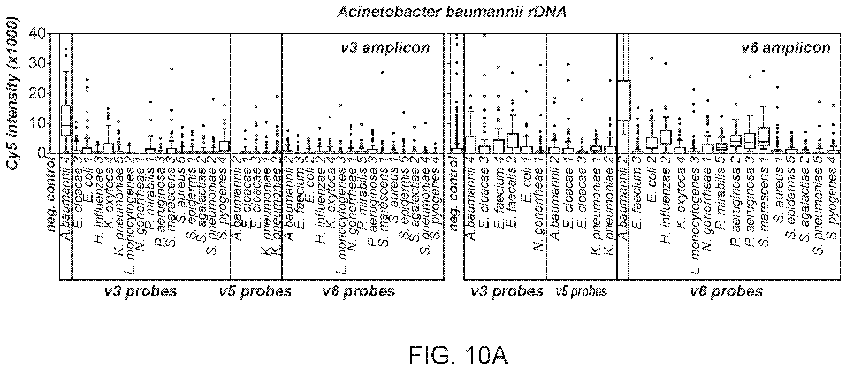 Patent US12590339 Figure 12 – Method for multiplexed detection of nucleic acids using spectrally encoded beads