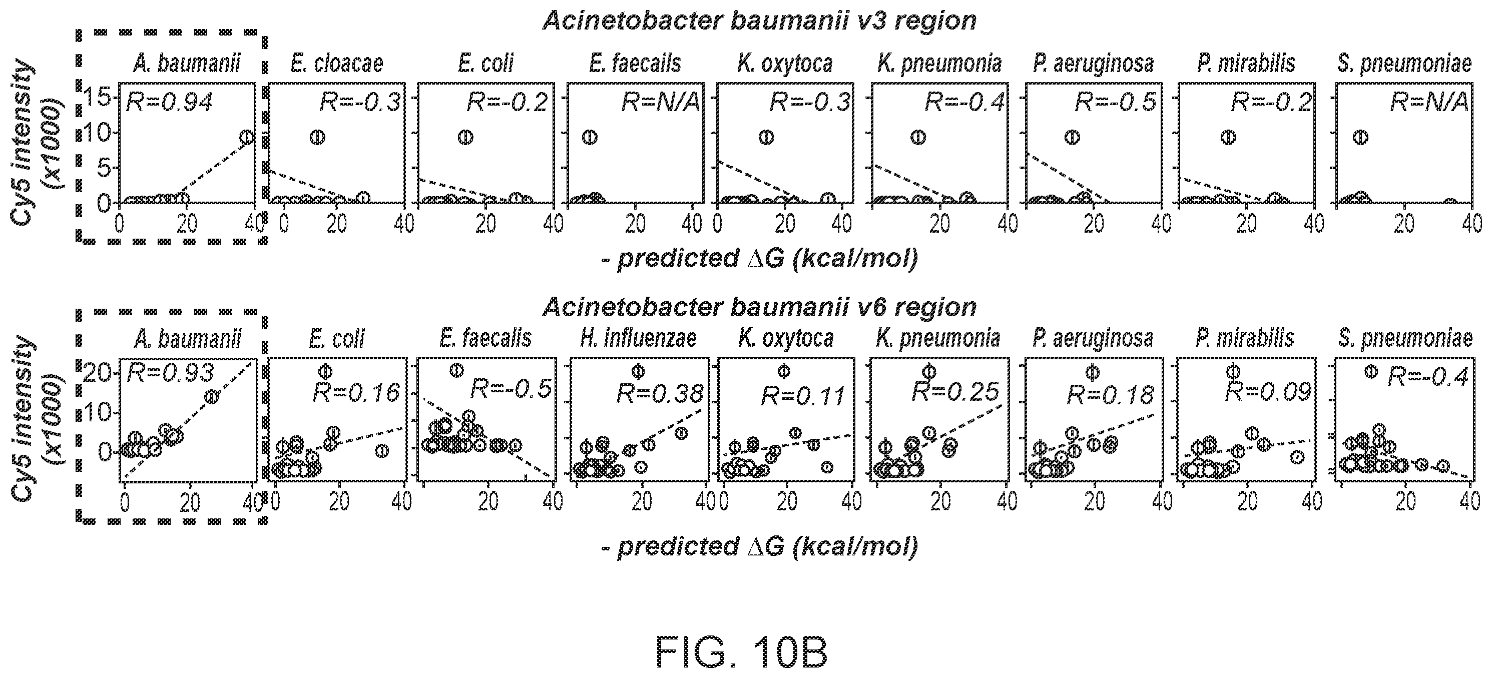 Patent US12590339 Figure 13 – Method for multiplexed detection of nucleic acids using spectrally encoded beads