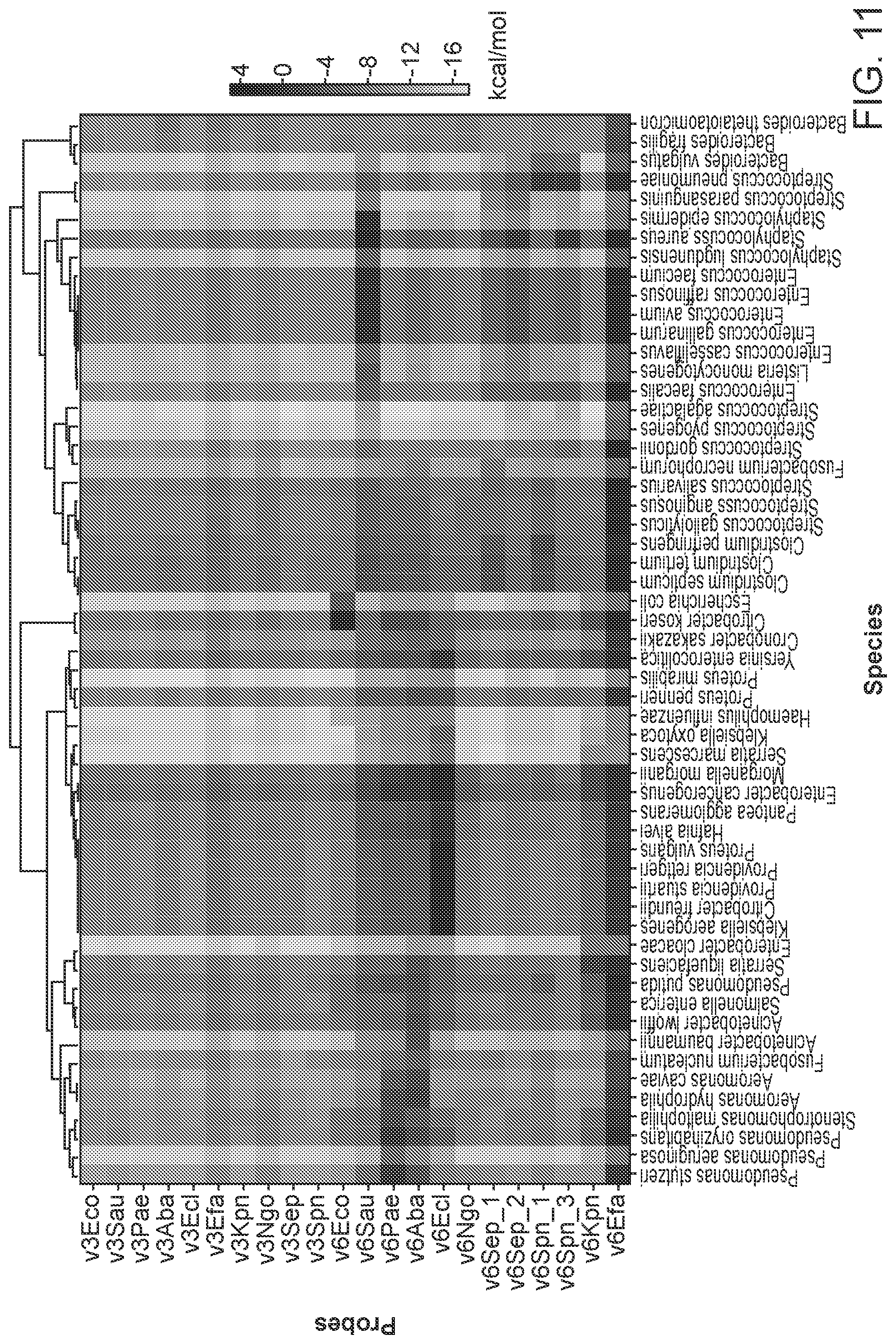Patent US12590339 Figure 14 – Method for multiplexed detection of nucleic acids using spectrally encoded beads