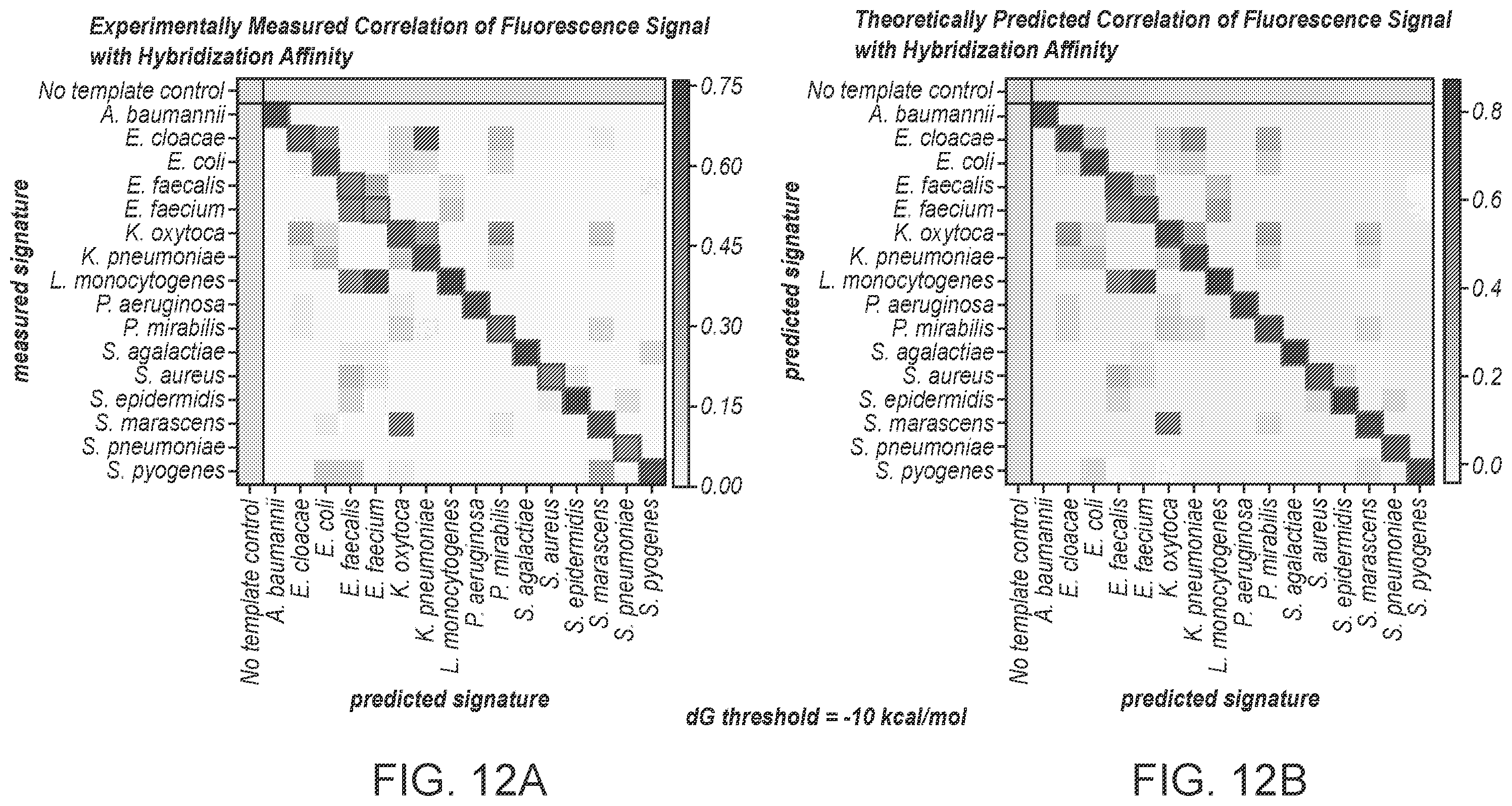 Patent US12590339 Figure 15 – Method for multiplexed detection of nucleic acids using spectrally encoded beads