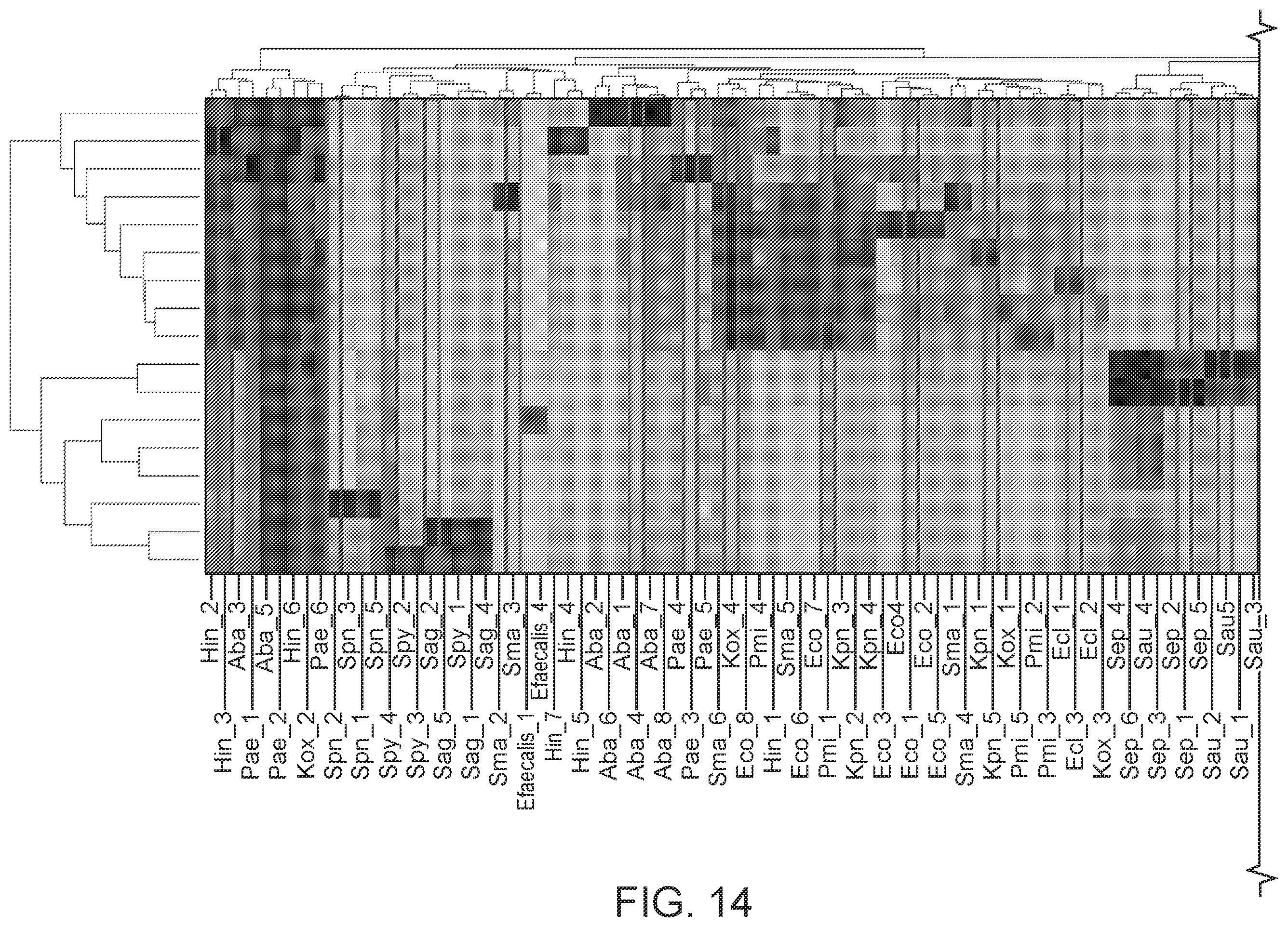 Patent US12590339 Figure 18 – Method for multiplexed detection of nucleic acids using spectrally encoded beads