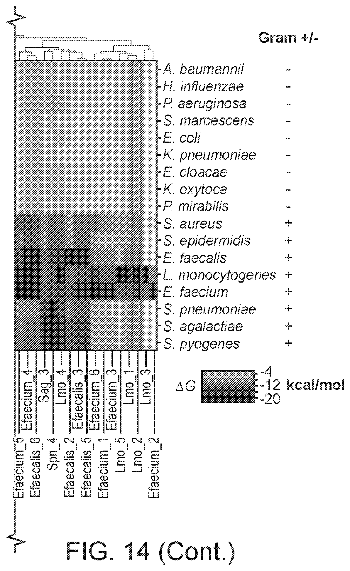 Patent US12590339 Figure 19 – Method for multiplexed detection of nucleic acids using spectrally encoded beads