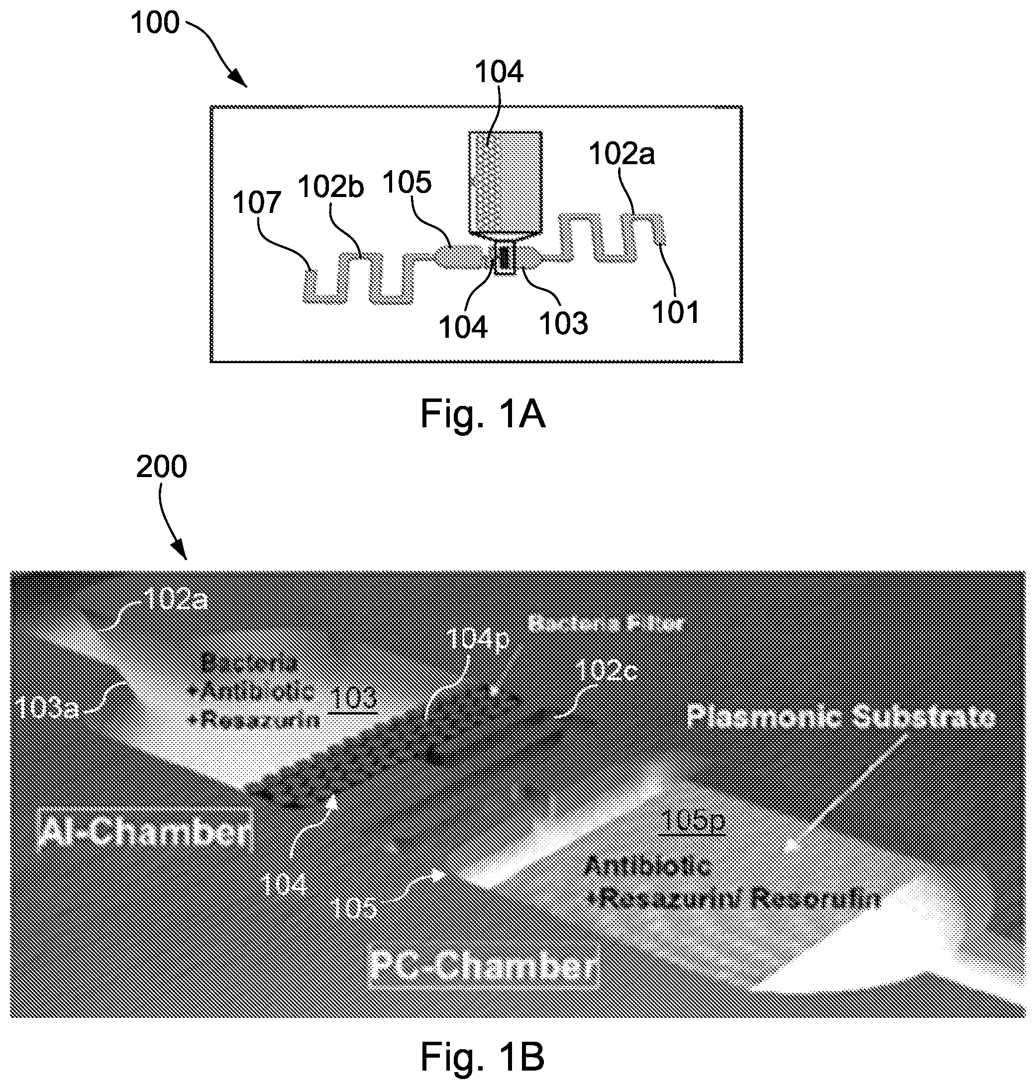 Patent US12590340 Figure 1 – Microfluidic plasmonic color reading chips and methods