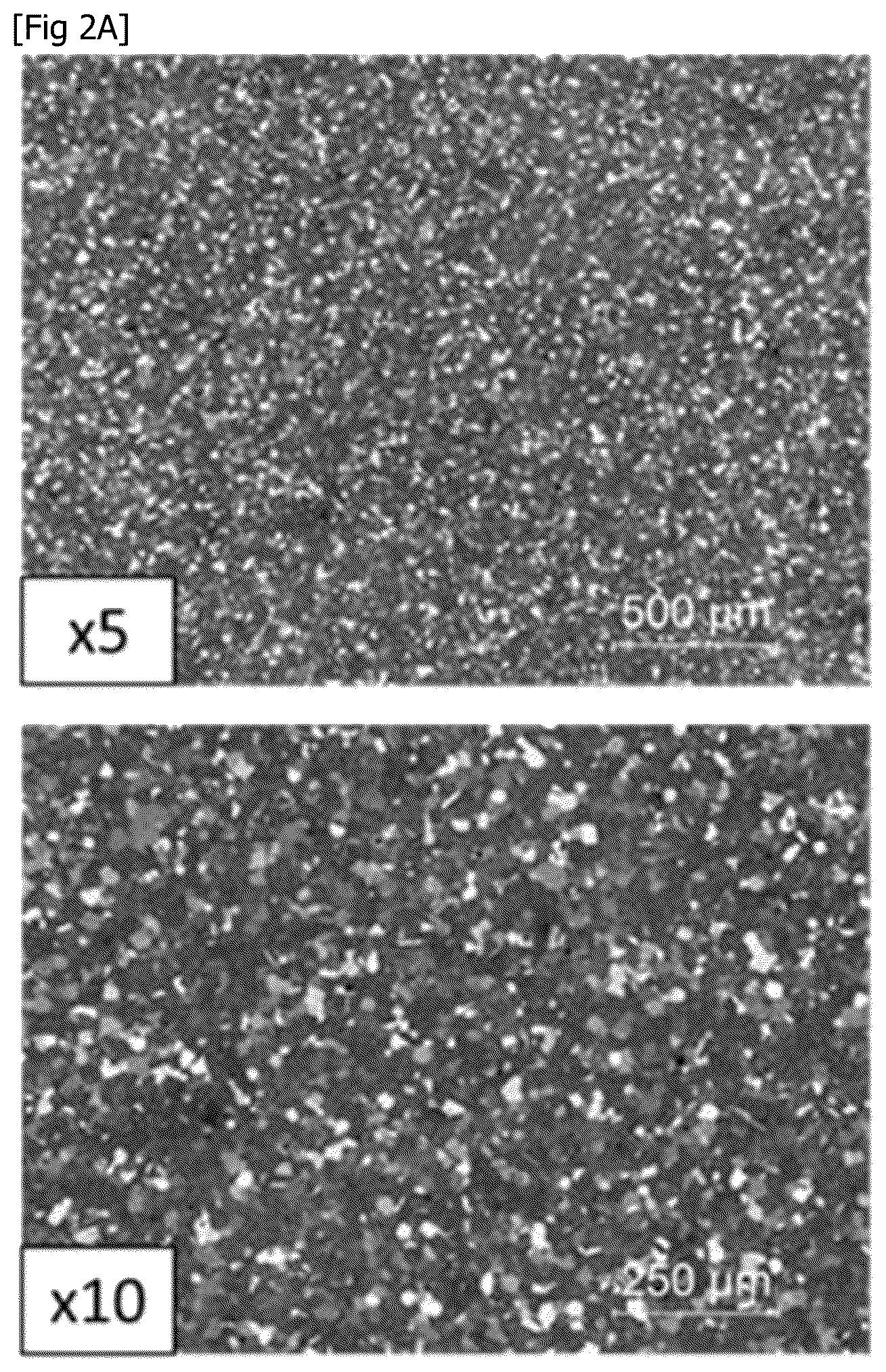 Patent US12590356 Figure 2 – Superalloy powder, part and method for manufacturing the part from the powder