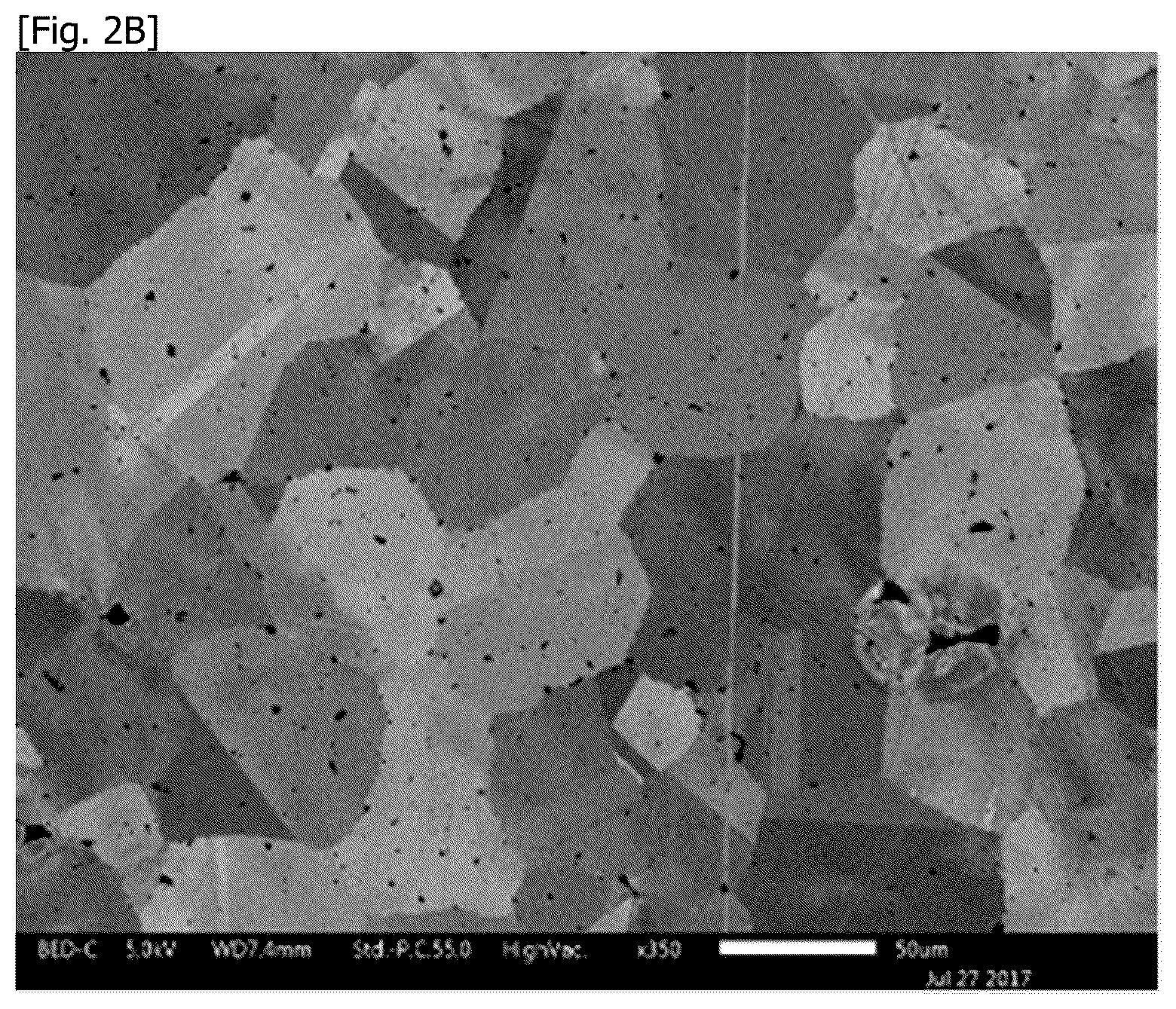Patent US12590356 Figure 3 – Superalloy powder, part and method for manufacturing the part from the powder