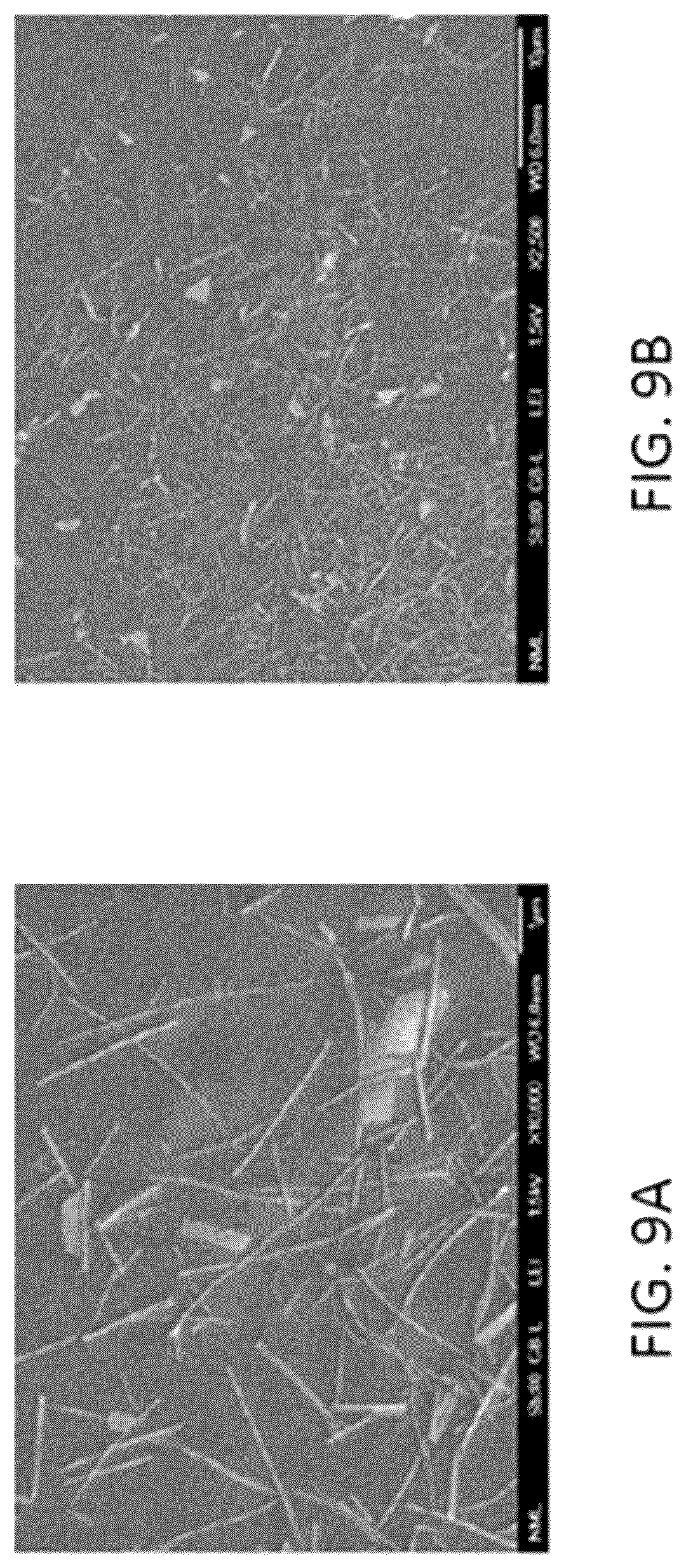 Patent US12590372 Figure 9 – Laser induced forward transfer of 2D materials