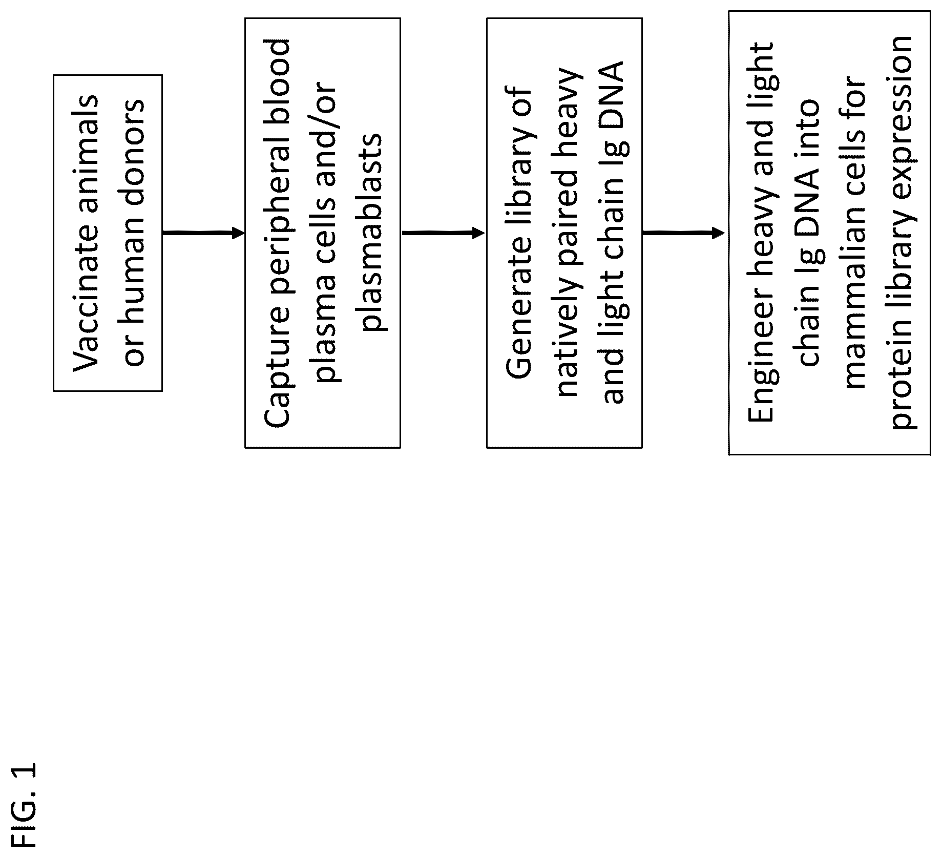 Patent US12590386 Figure 1 – Recombinant polyclonal proteins and methods of use thereof